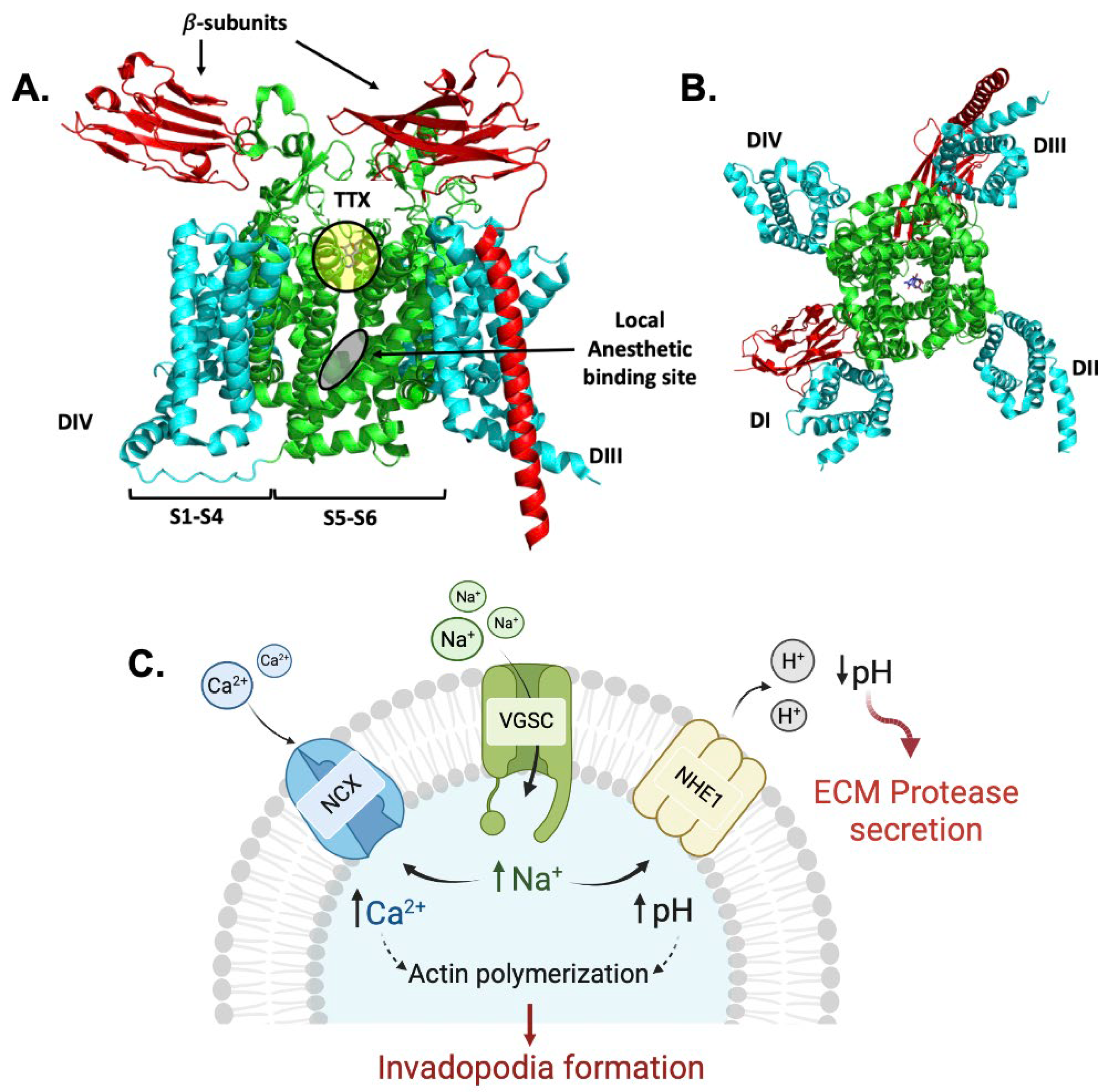 Cancers 15 02806 g001