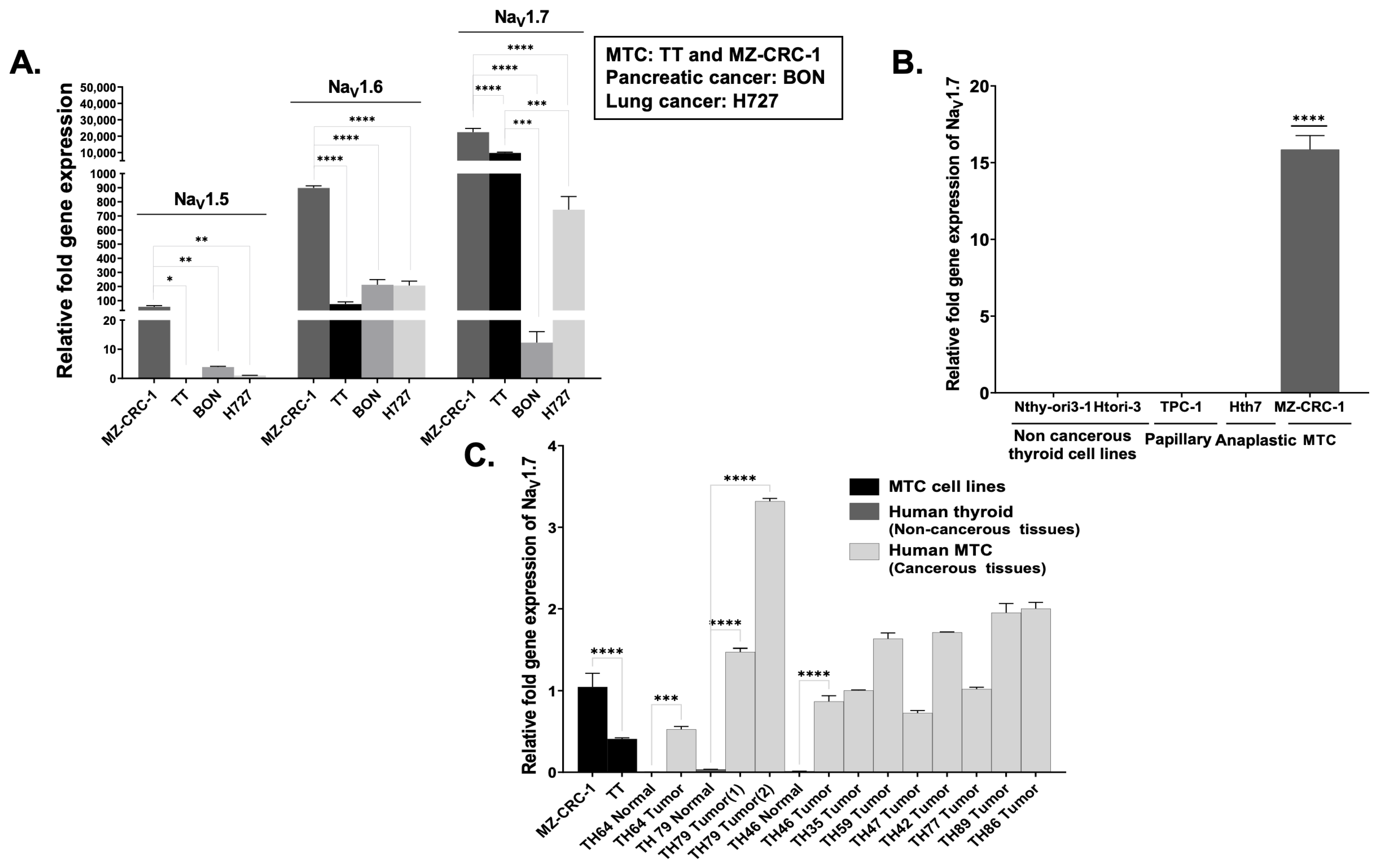 Cancers 15 02806 g002
