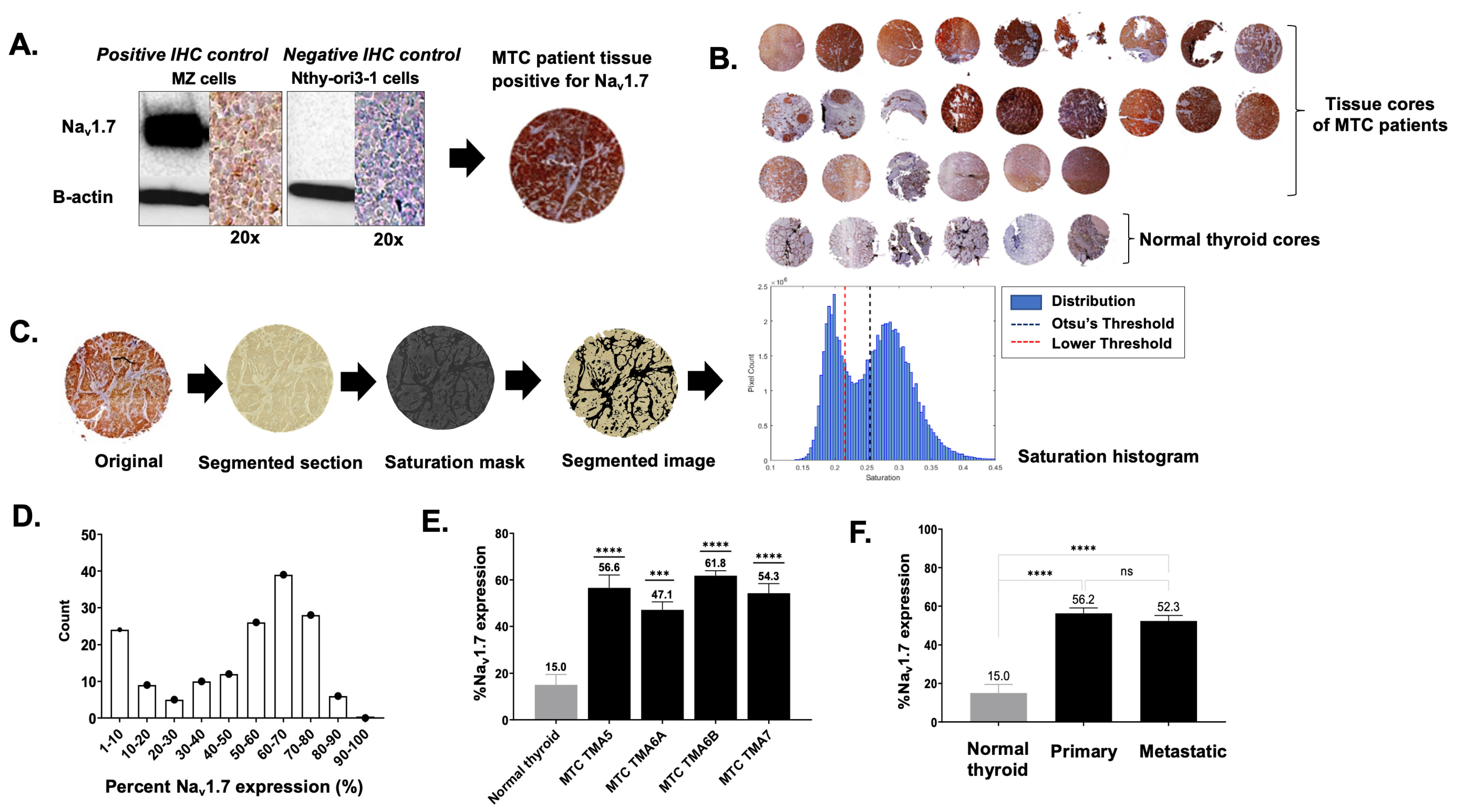 Cancers 15 02806 g004
