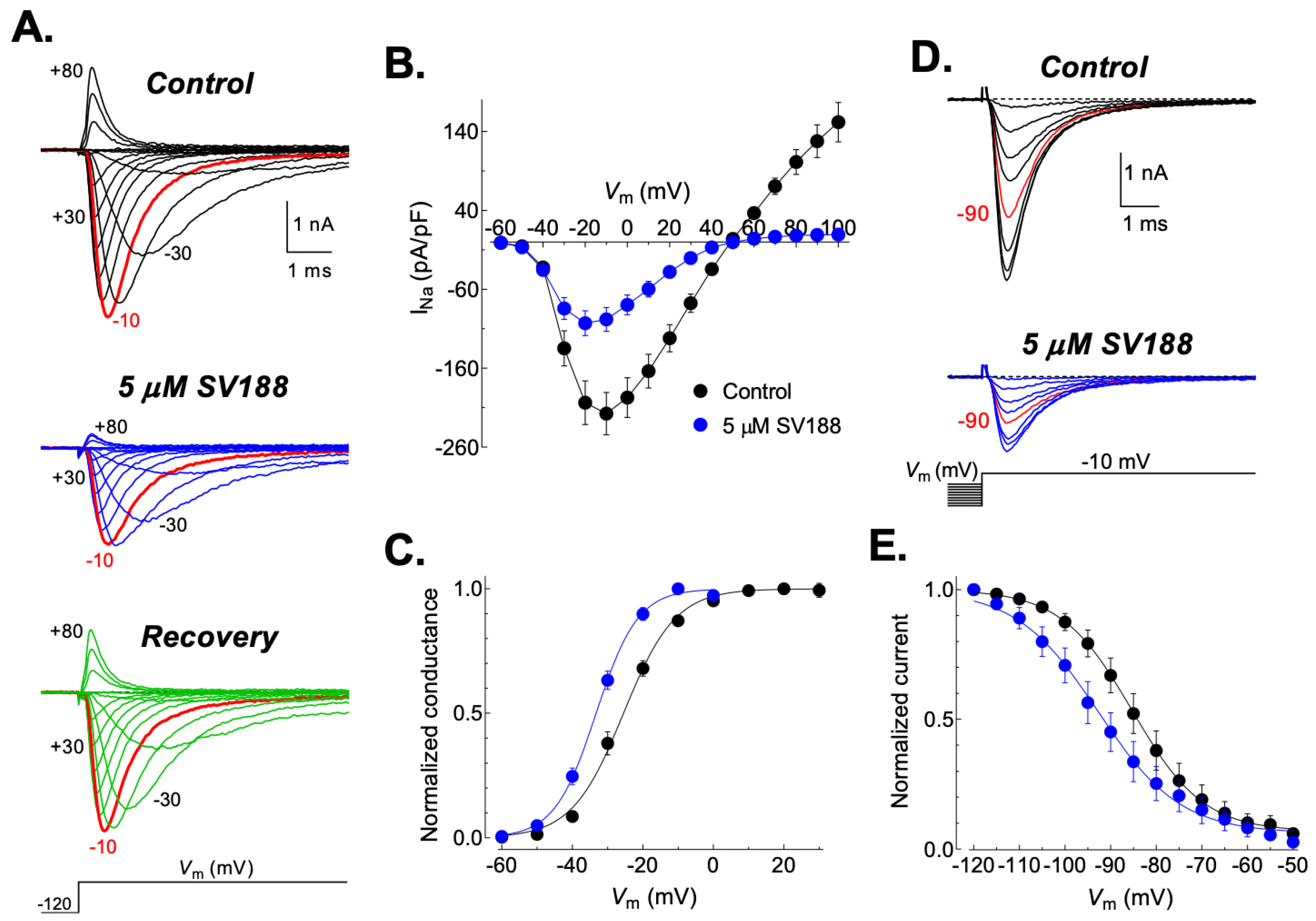Cancers 15 02806 g008