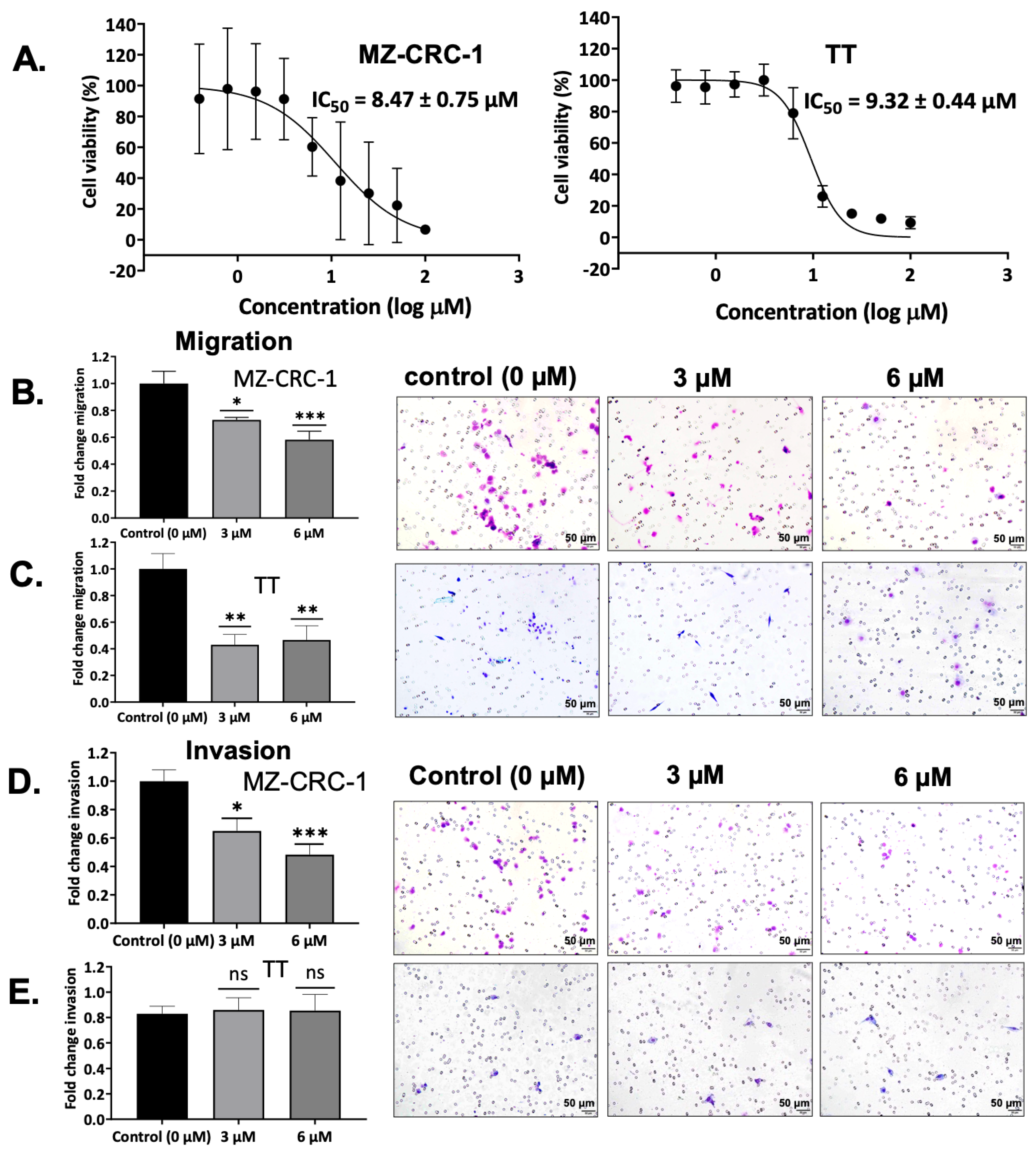 Cancers 15 02806 g010