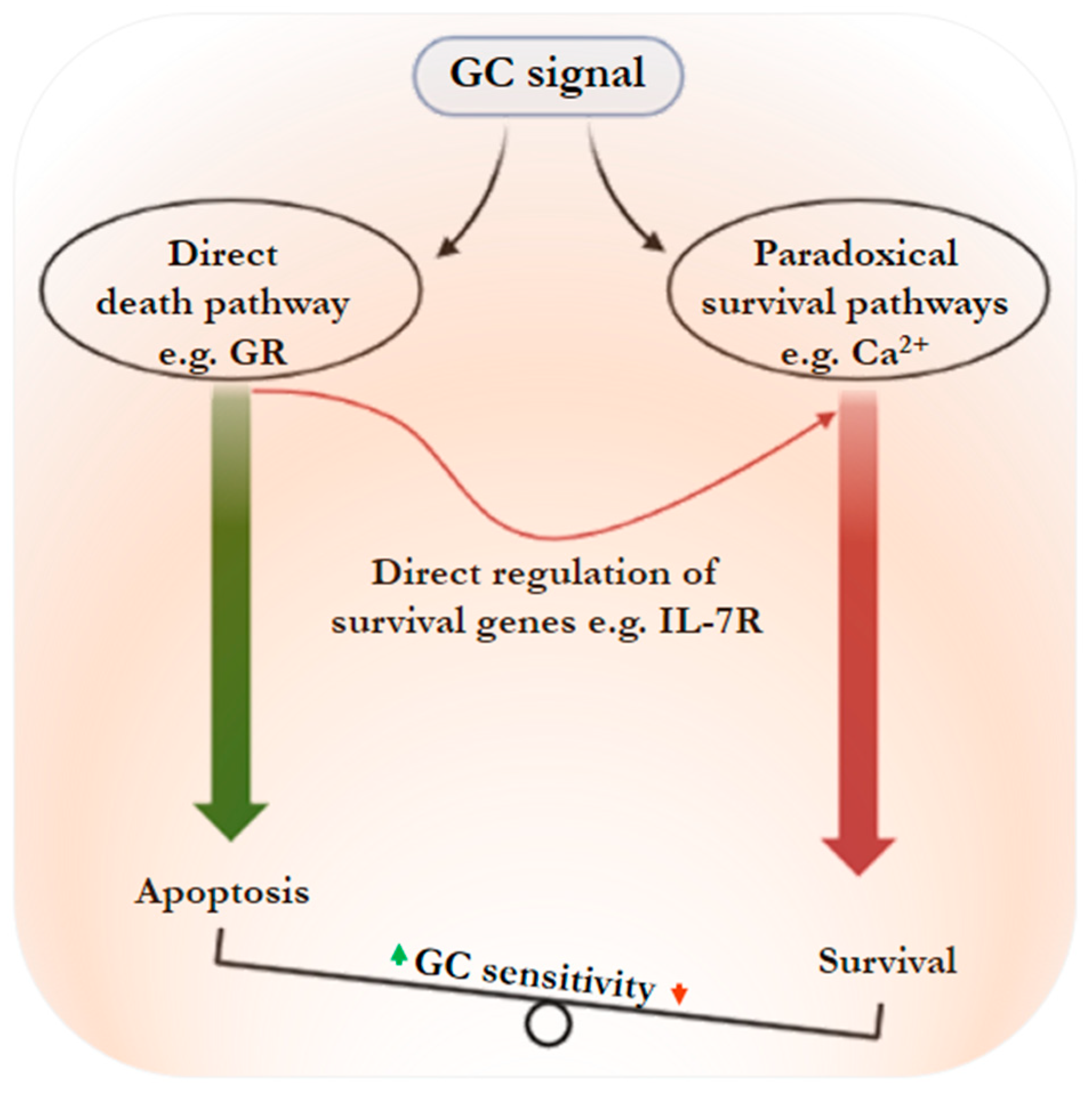 Cancers 15 02812 g001 Cancers 15 02812 g001