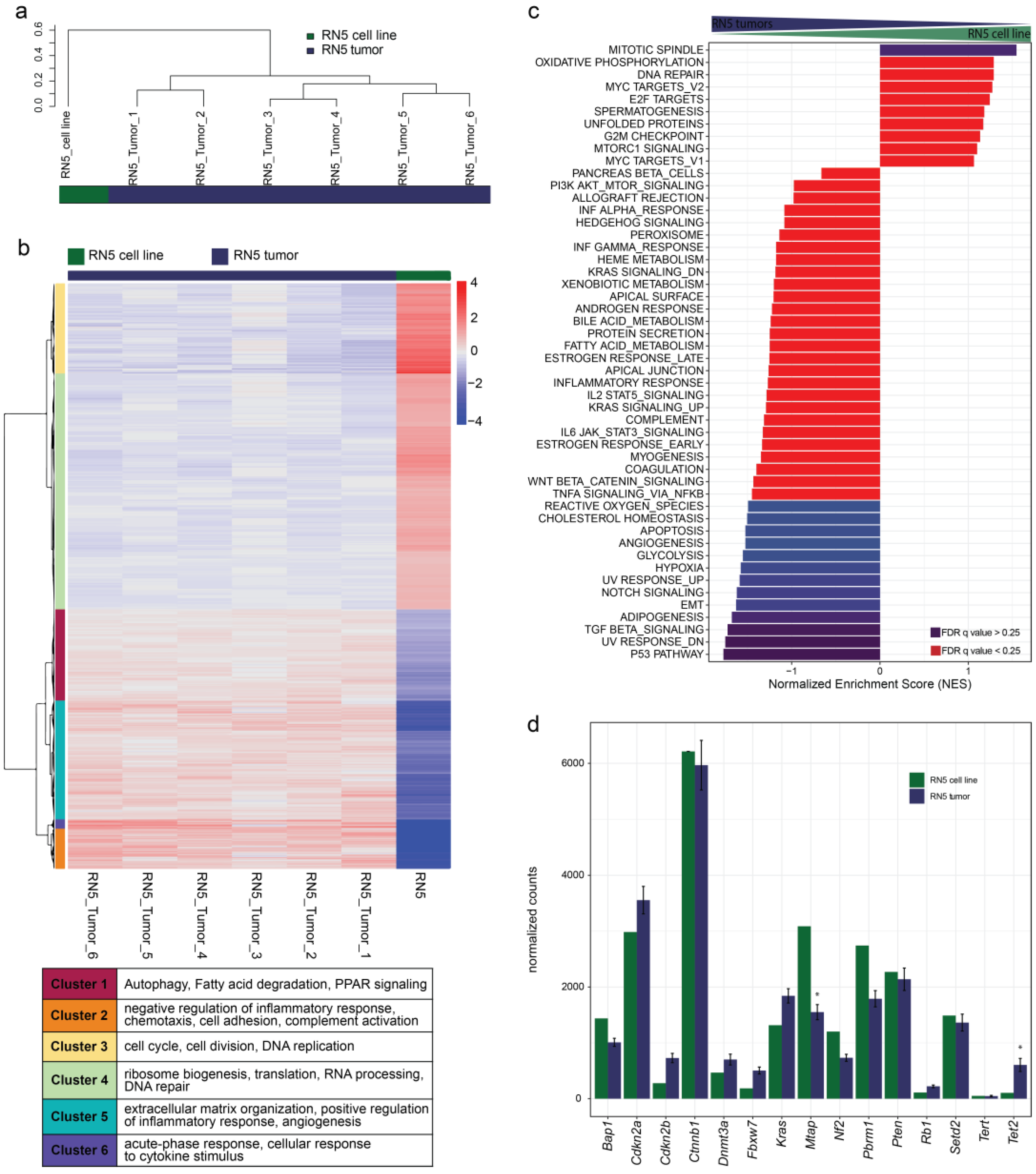 Cancers 15 02813 g005 Cancers 15 02813 g005