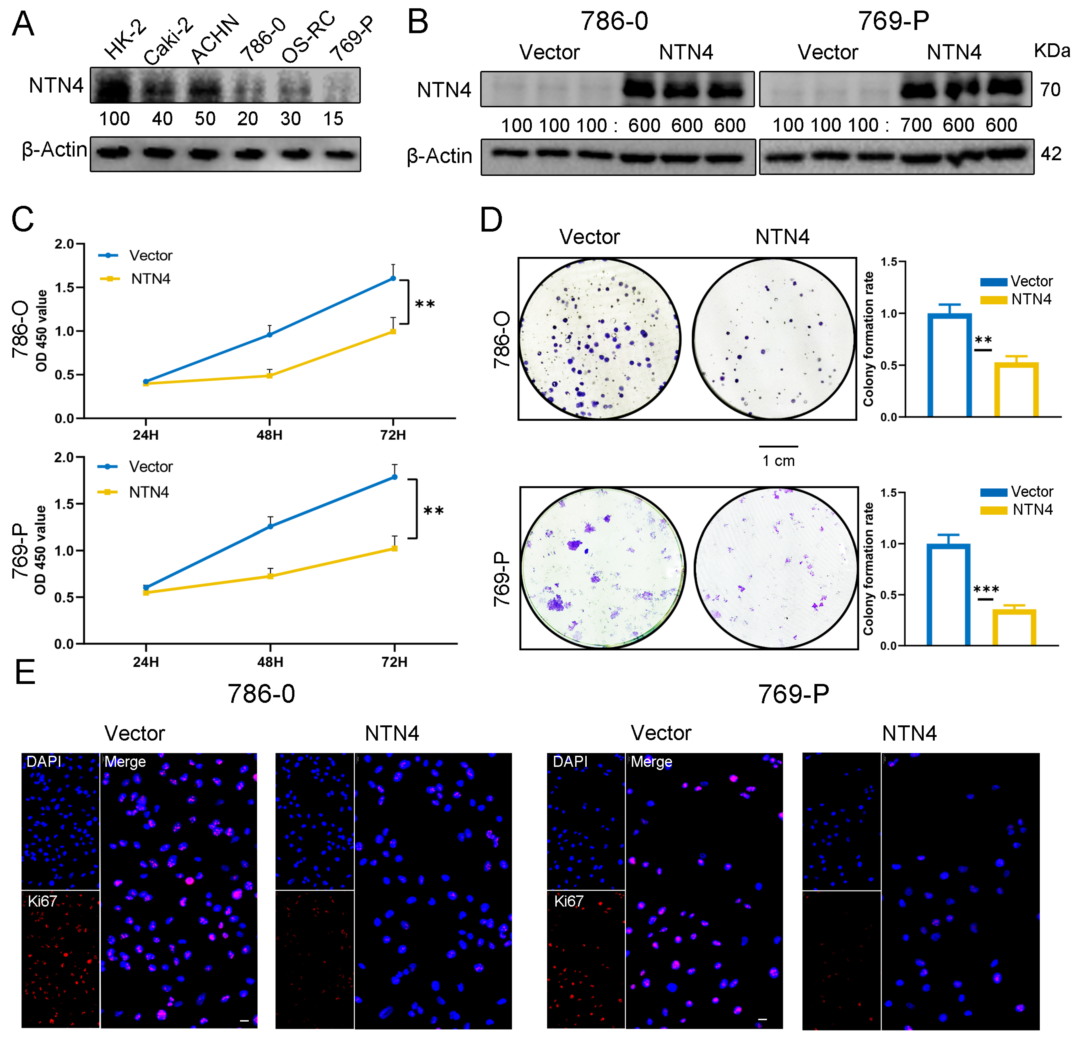 Cancers 15 02816 g005 Cancers 15 02816 g005