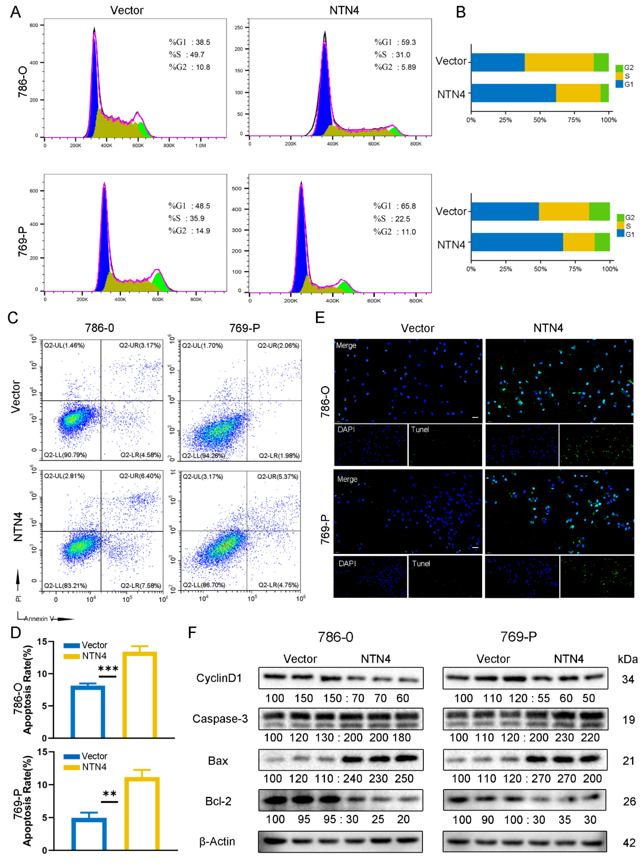 Cancers 15 02816 g007 Cancers 15 02816 g007