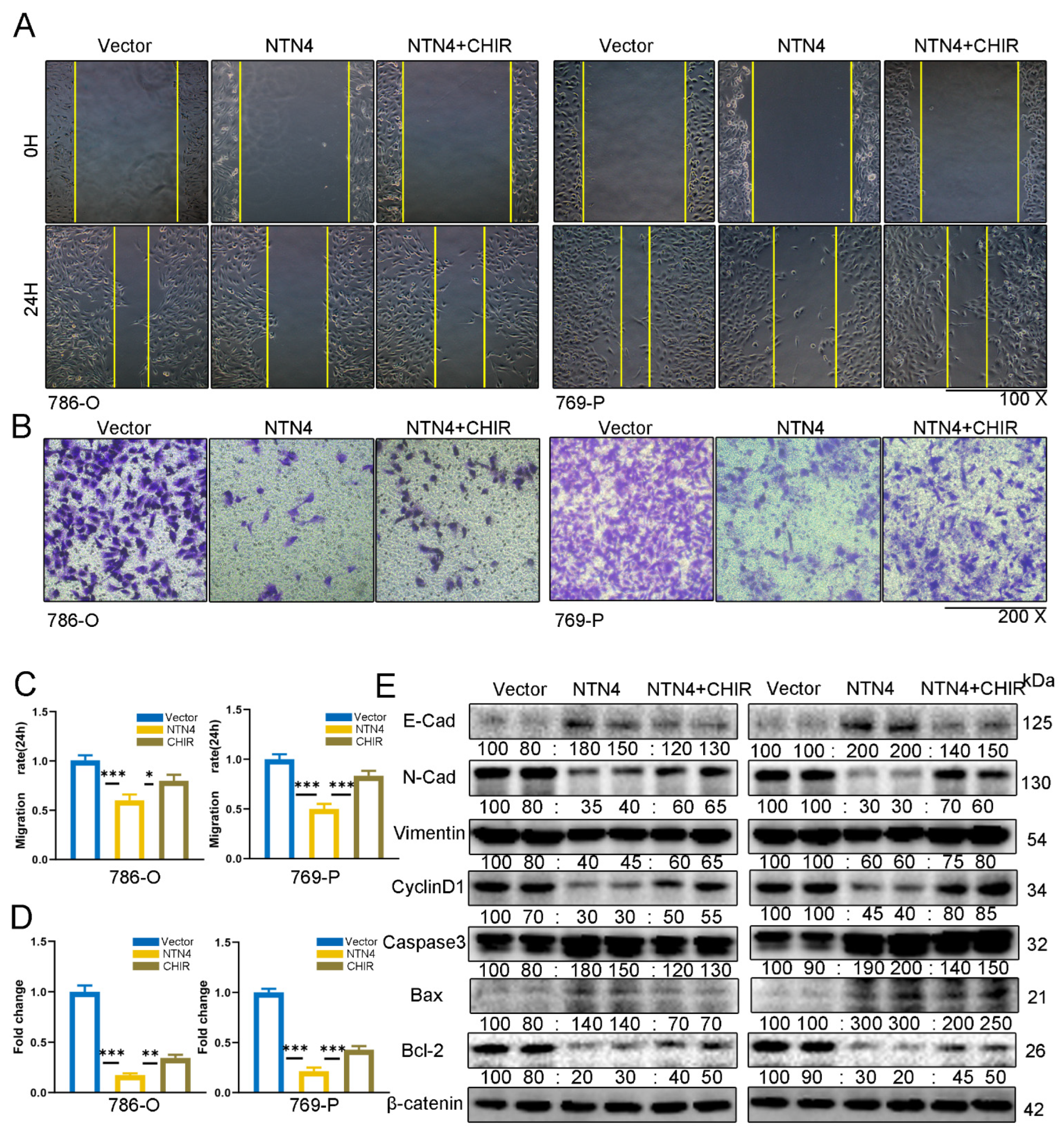 Cancers 15 02816 g009 Cancers 15 02816 g009