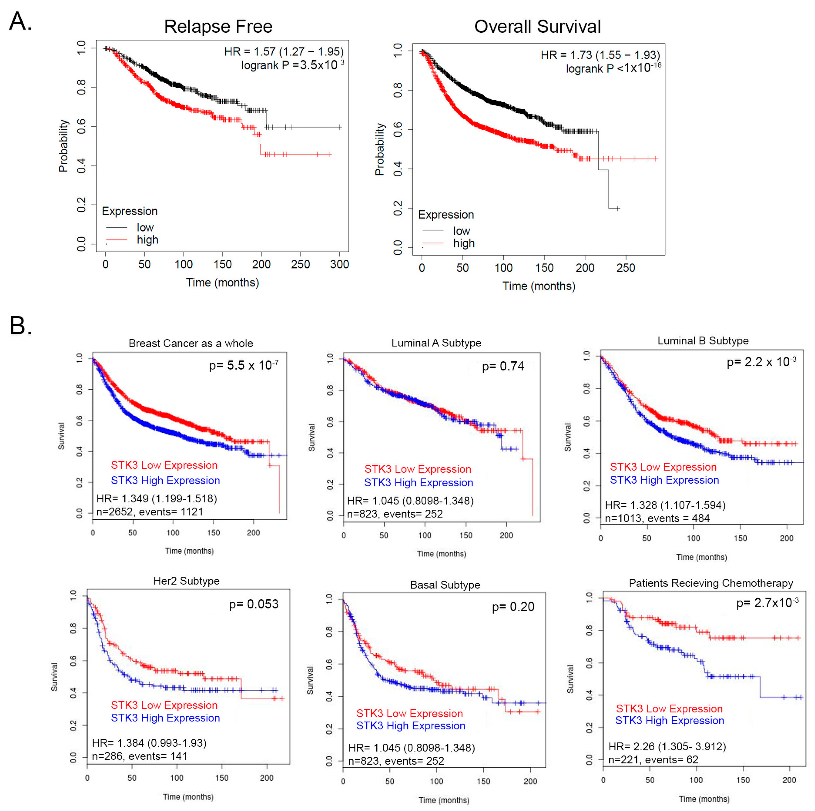 Cancers 15 02817 g001 Cancers 15 02817 g001