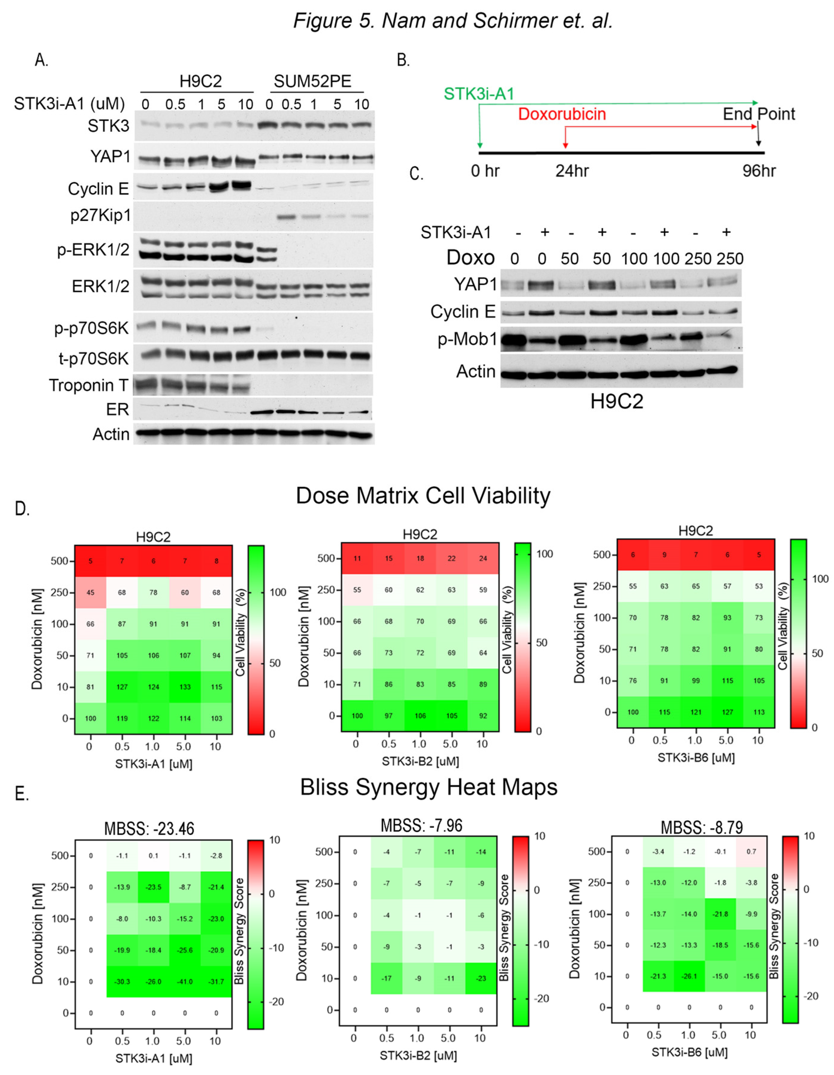 Cancers 15 02817 g005 Cancers 15 02817 g005