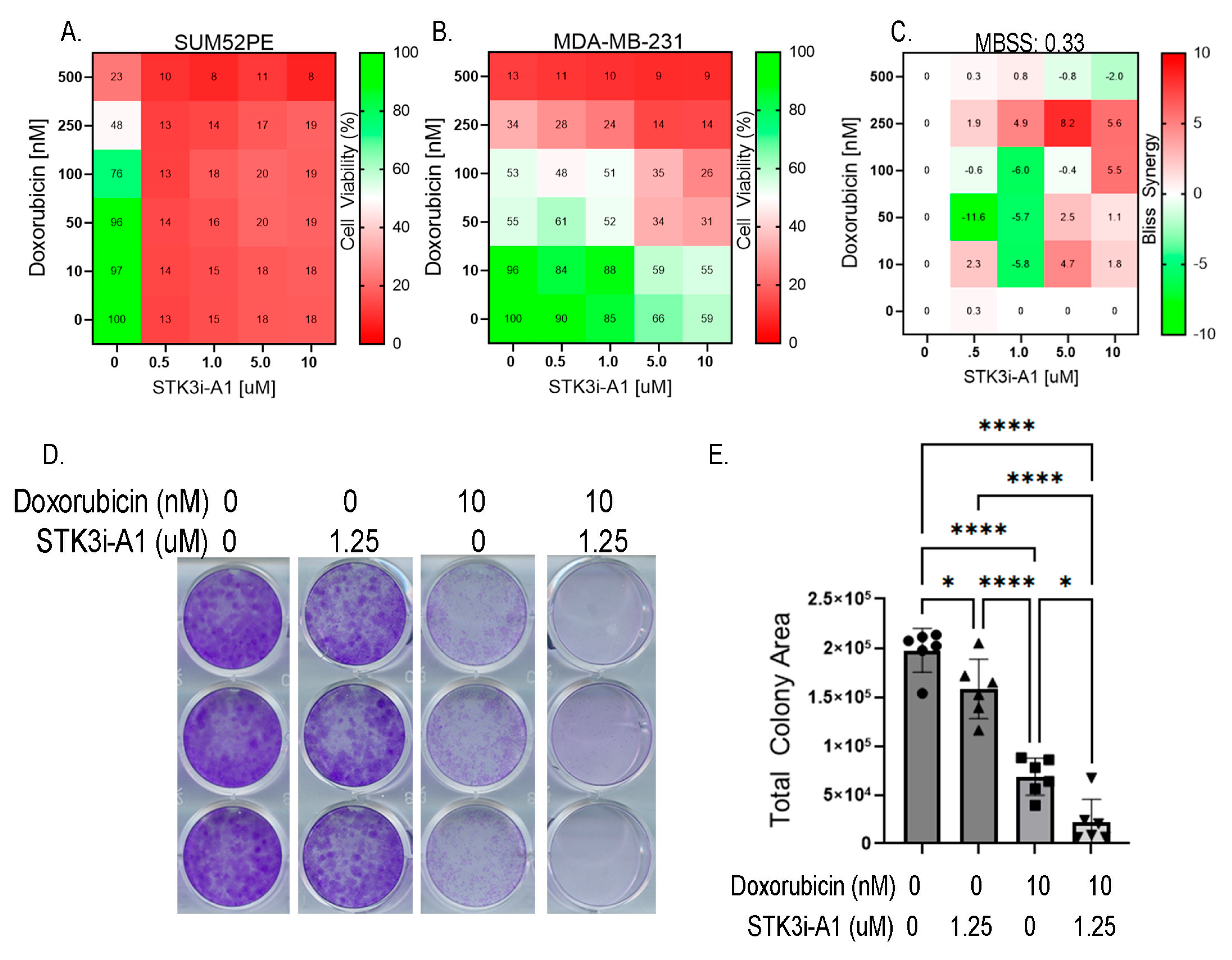 Cancers 15 02817 g006 Cancers 15 02817 g006
