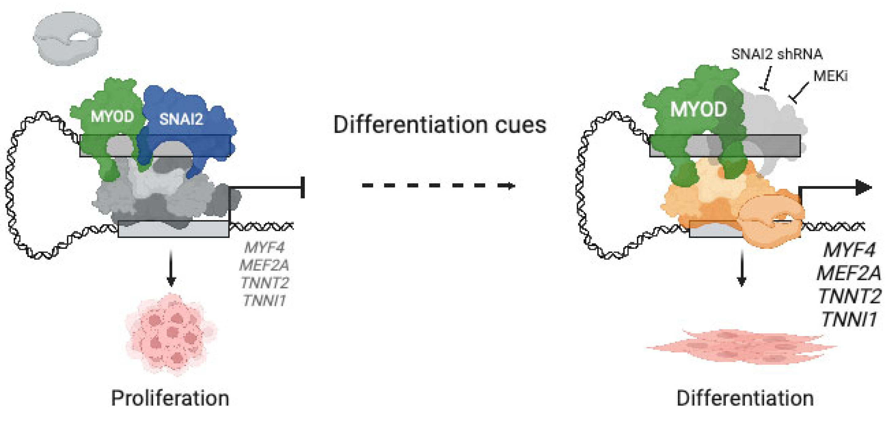 Cancers 15 02823 g005 Cancers 15 02823 g005