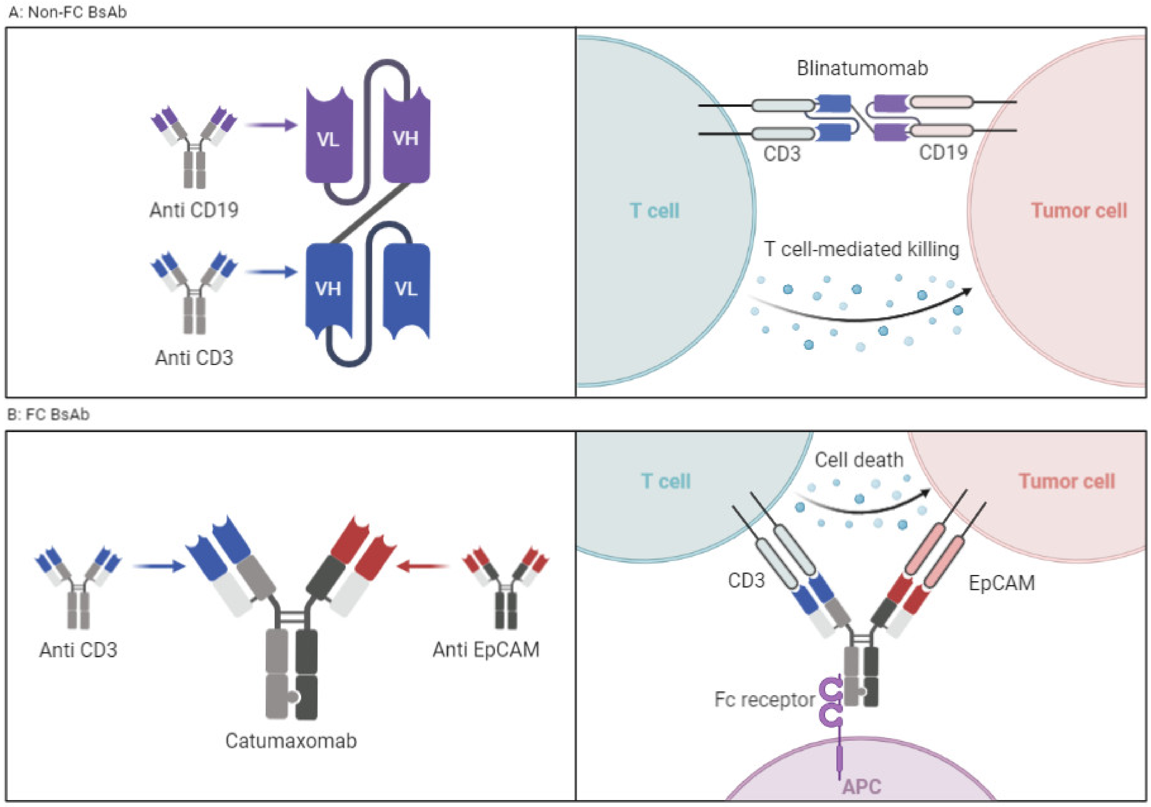 Cancers 15 02824 g002 Cancers 15 02824 g002