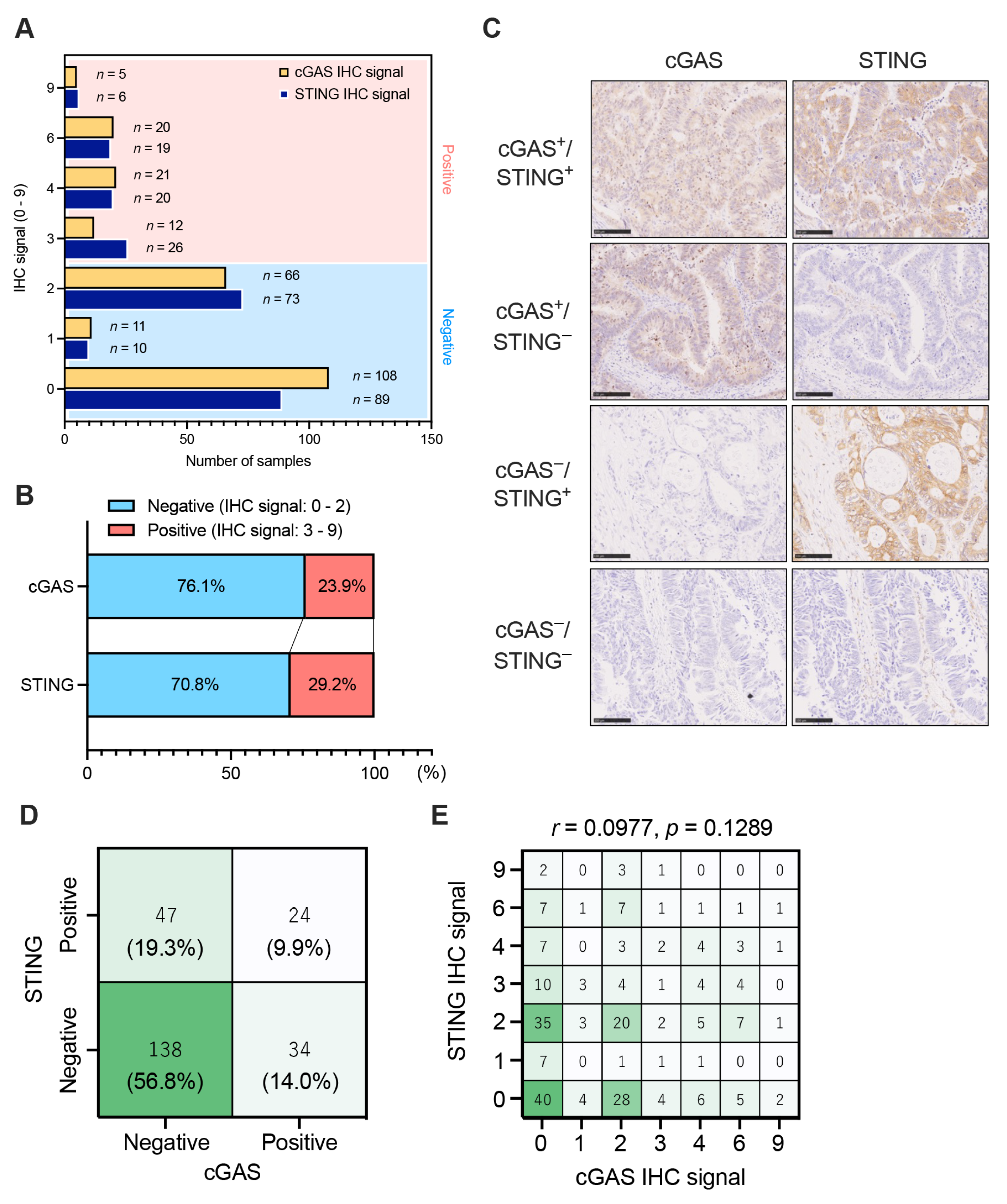 Cancers 15 02826 g001 Cancers 15 02826 g001