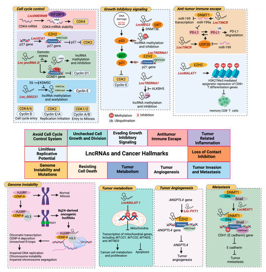 スー Suppression of Liver Fibrogenesis with Photothermal