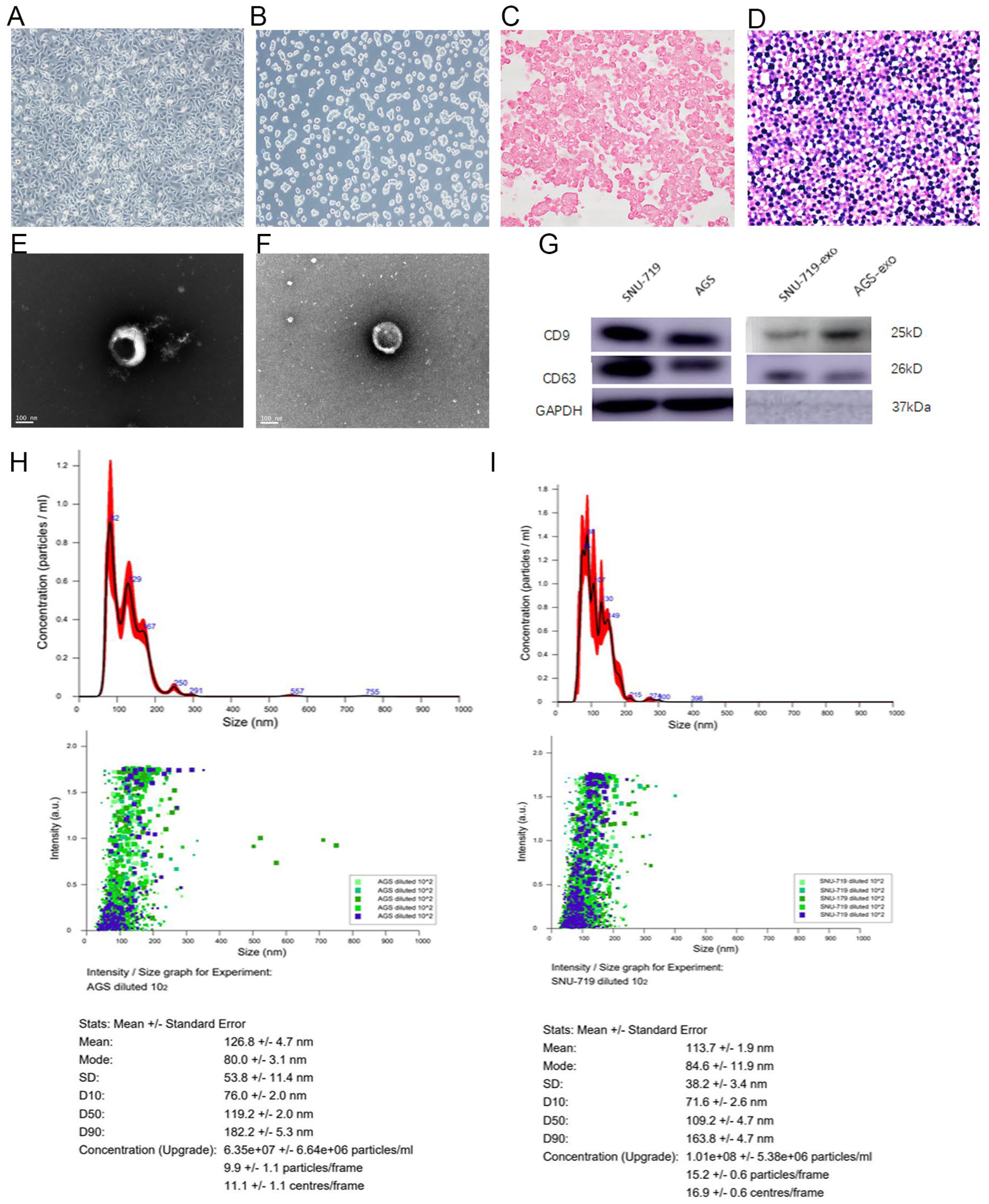 Cancers 15 02841 g001 Cancers 15 02841 g001