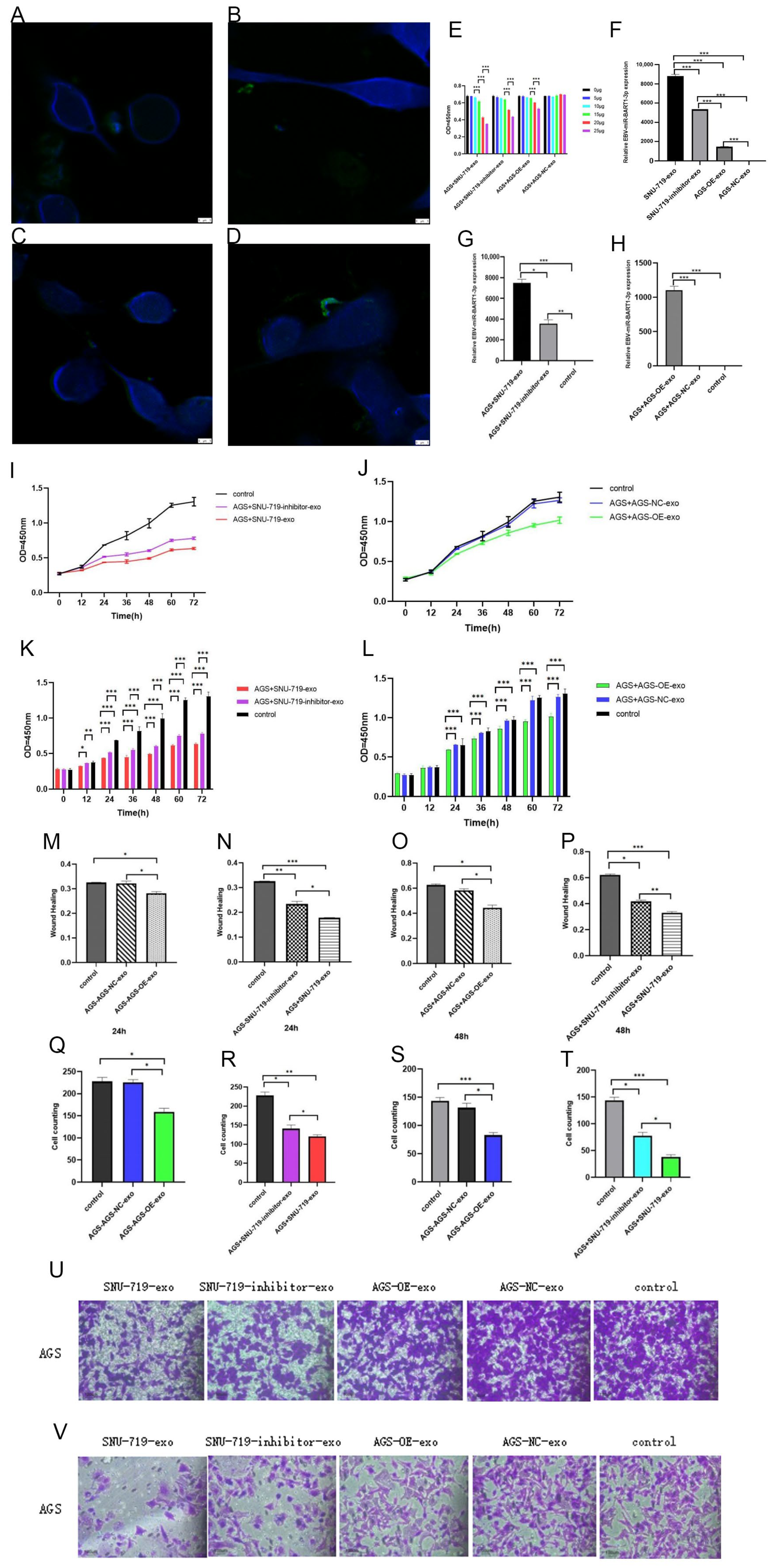 Cancers 15 02841 g005 Cancers 15 02841 g005