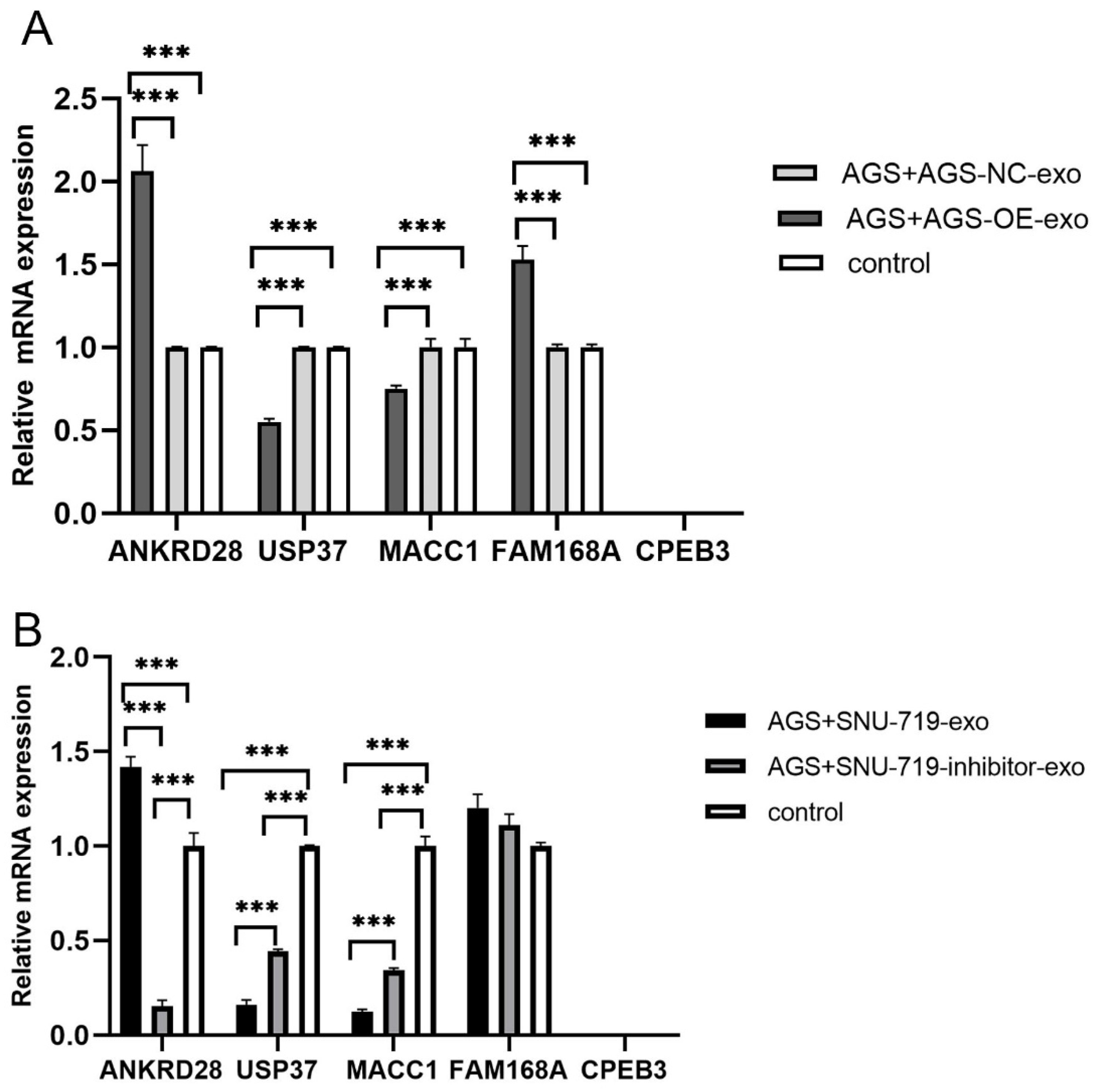 Cancers 15 02841 g007 Cancers 15 02841 g007