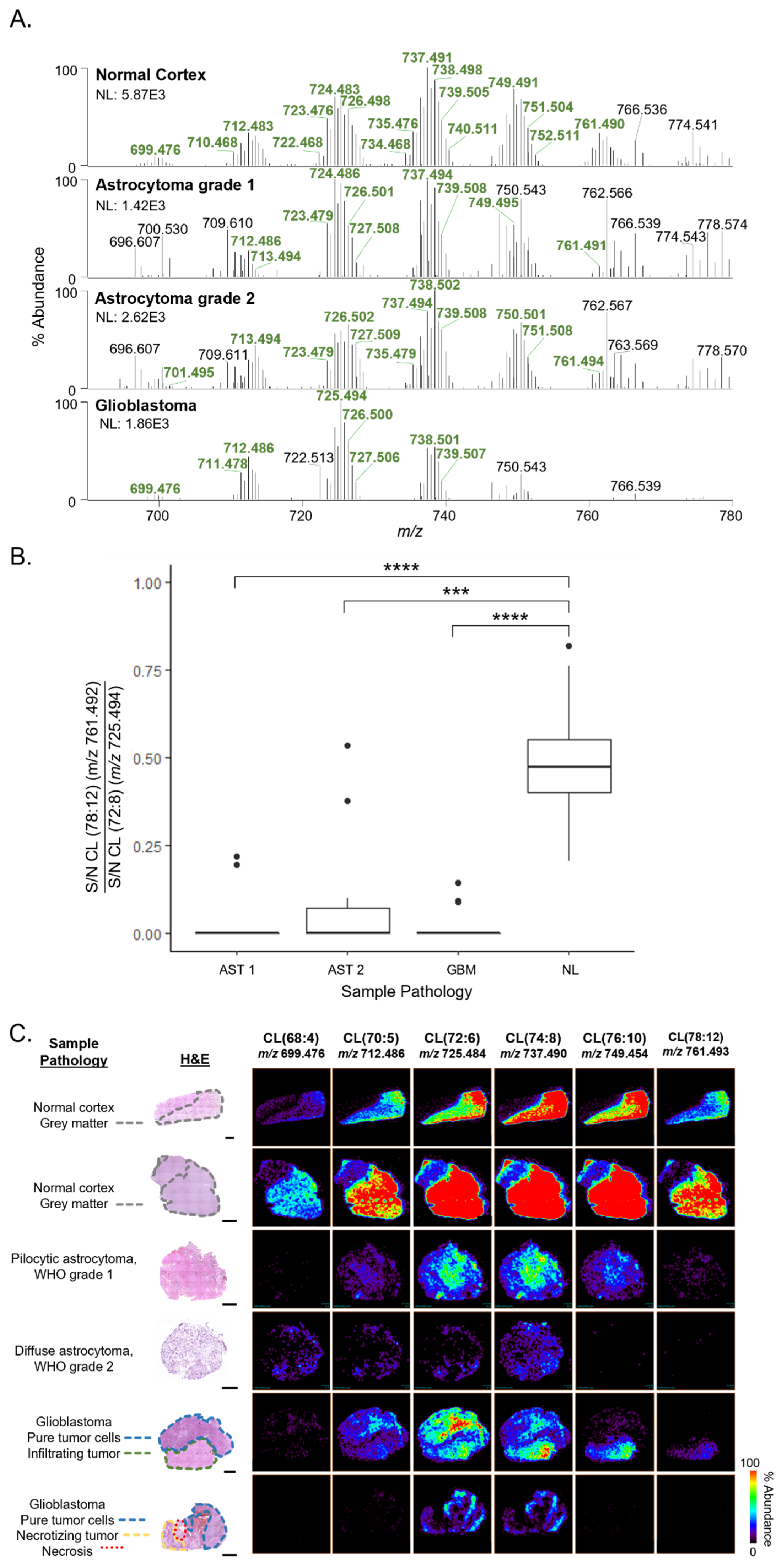 Cancers 15 02842 g001 Cancers 15 02842 g001