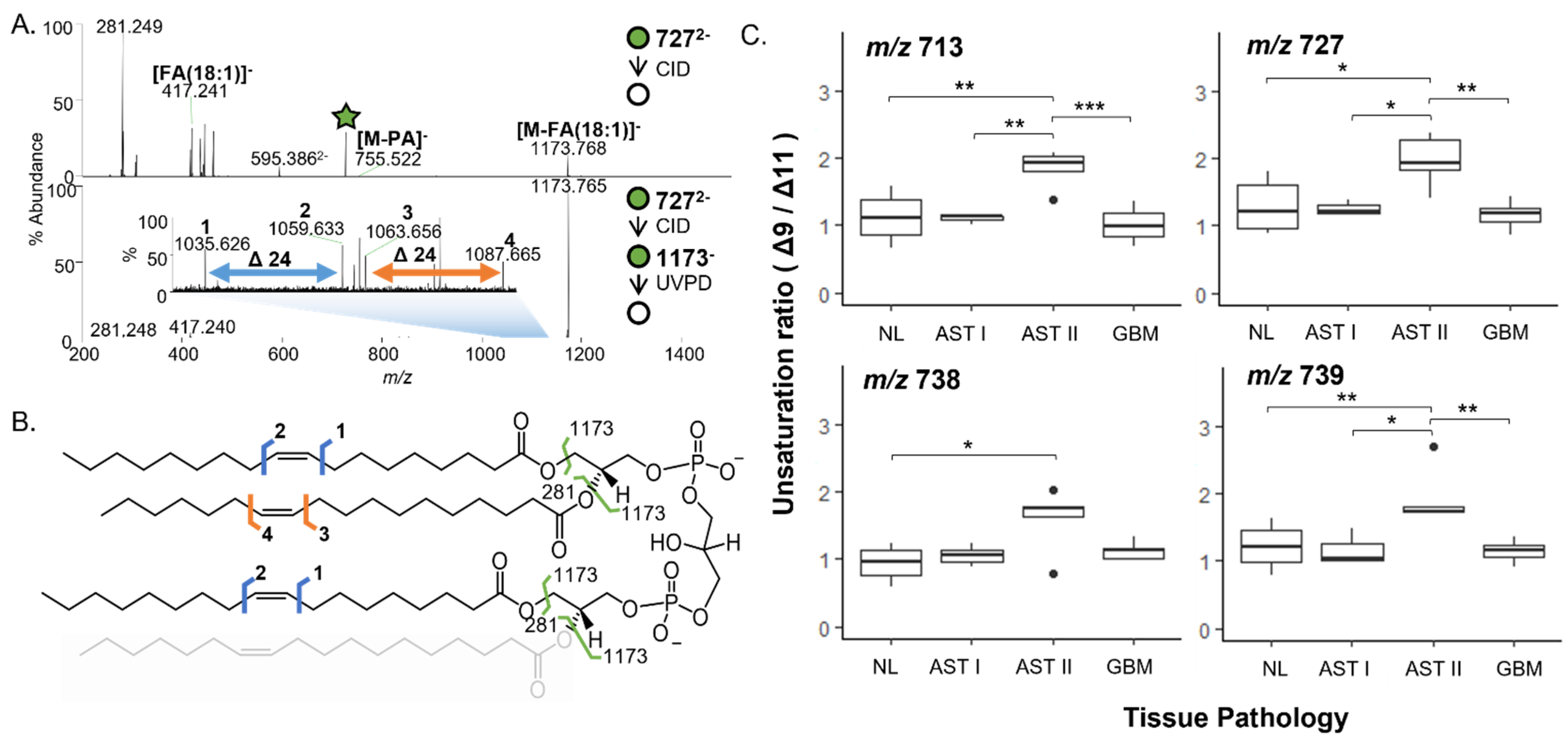 Cancers 15 02842 g003 Cancers 15 02842 g003