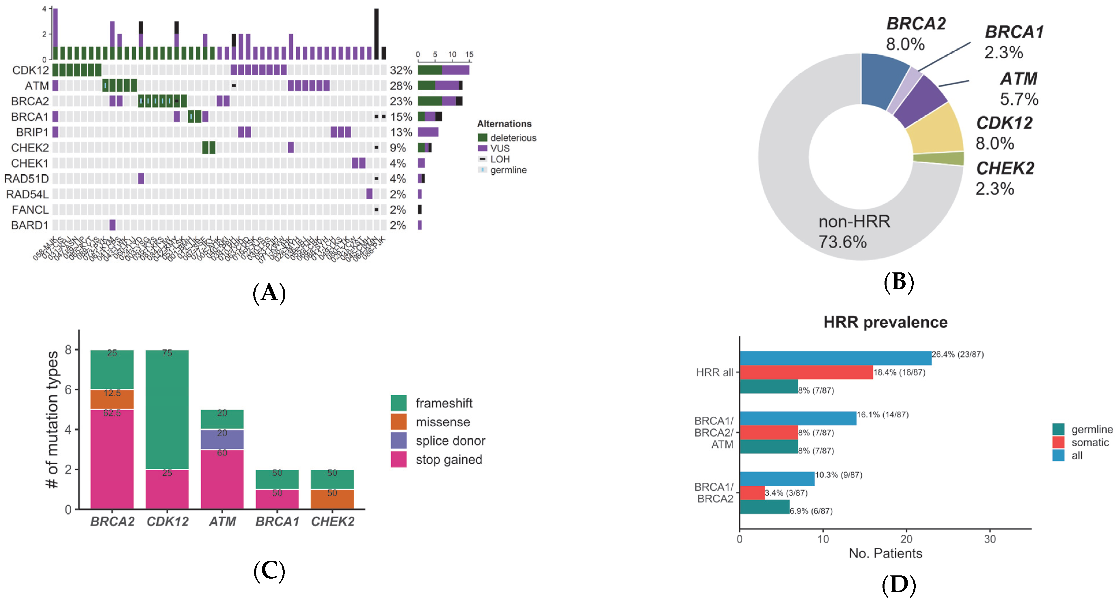 Cancers 15 02847 g001 Cancers 15 02847 g001