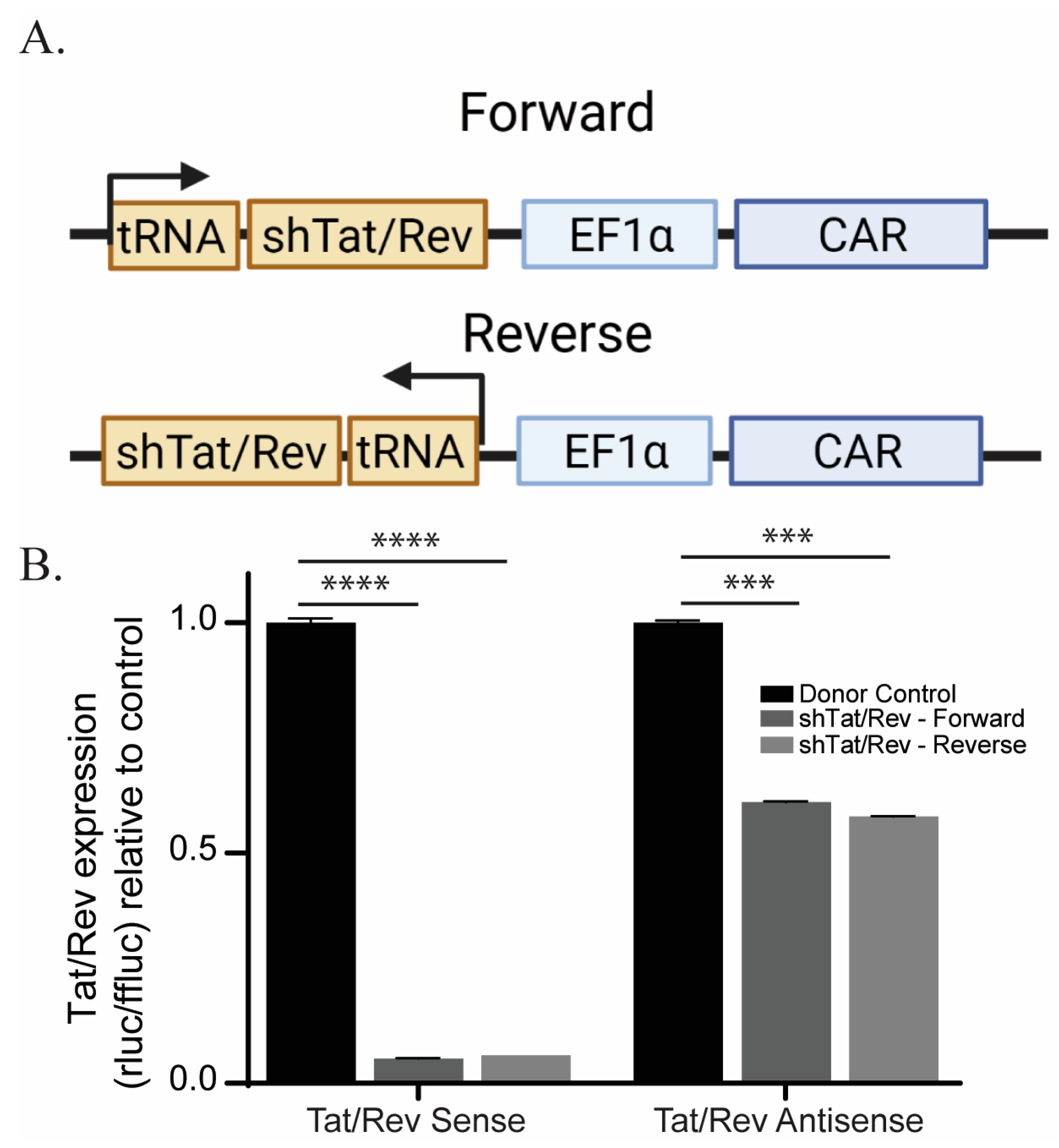 Cancers 15 02848 g001 Cancers 15 02848 g001