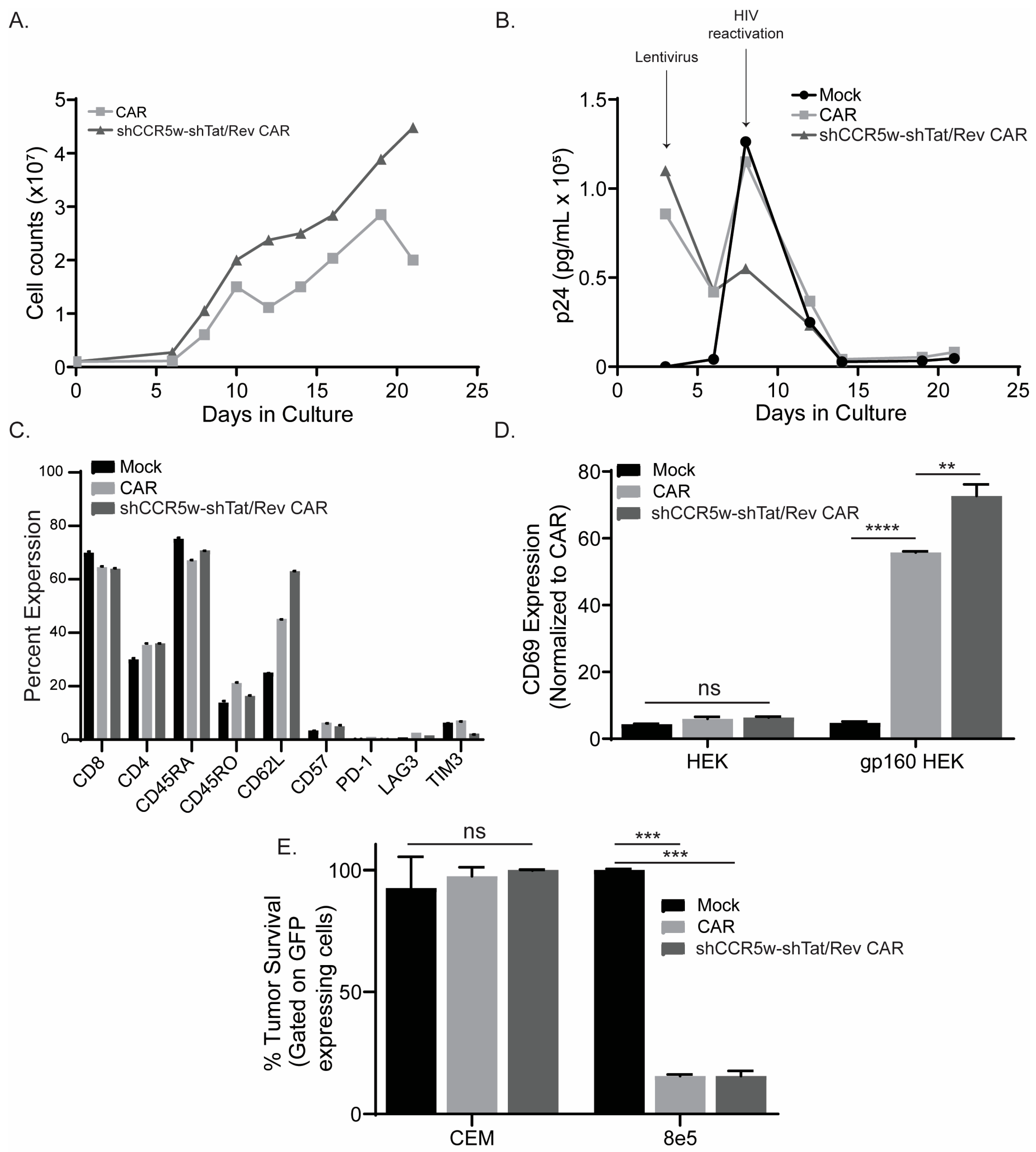 Cancers 15 02848 g004 Cancers 15 02848 g004