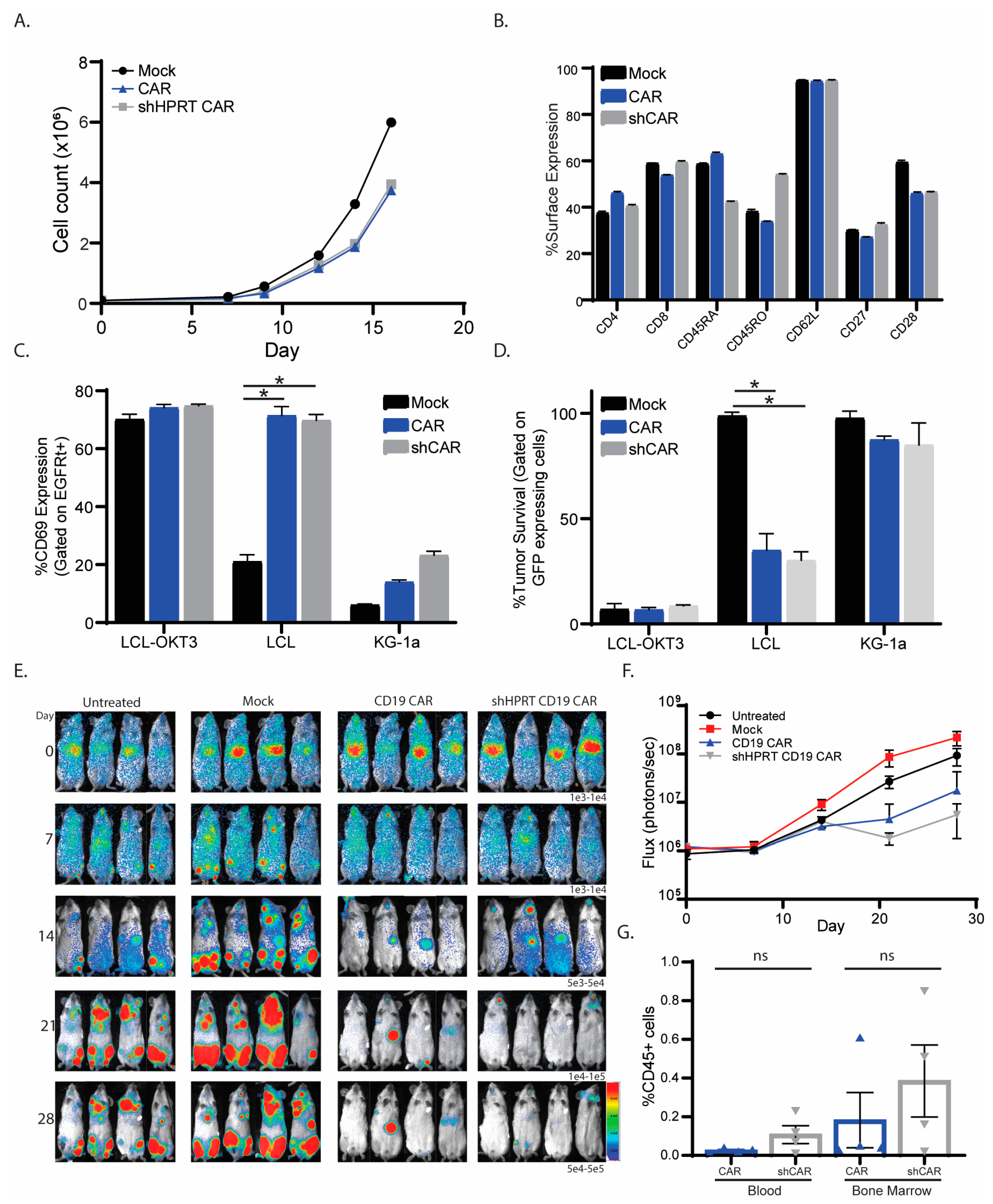 Cancers 15 02848 g006 Cancers 15 02848 g006