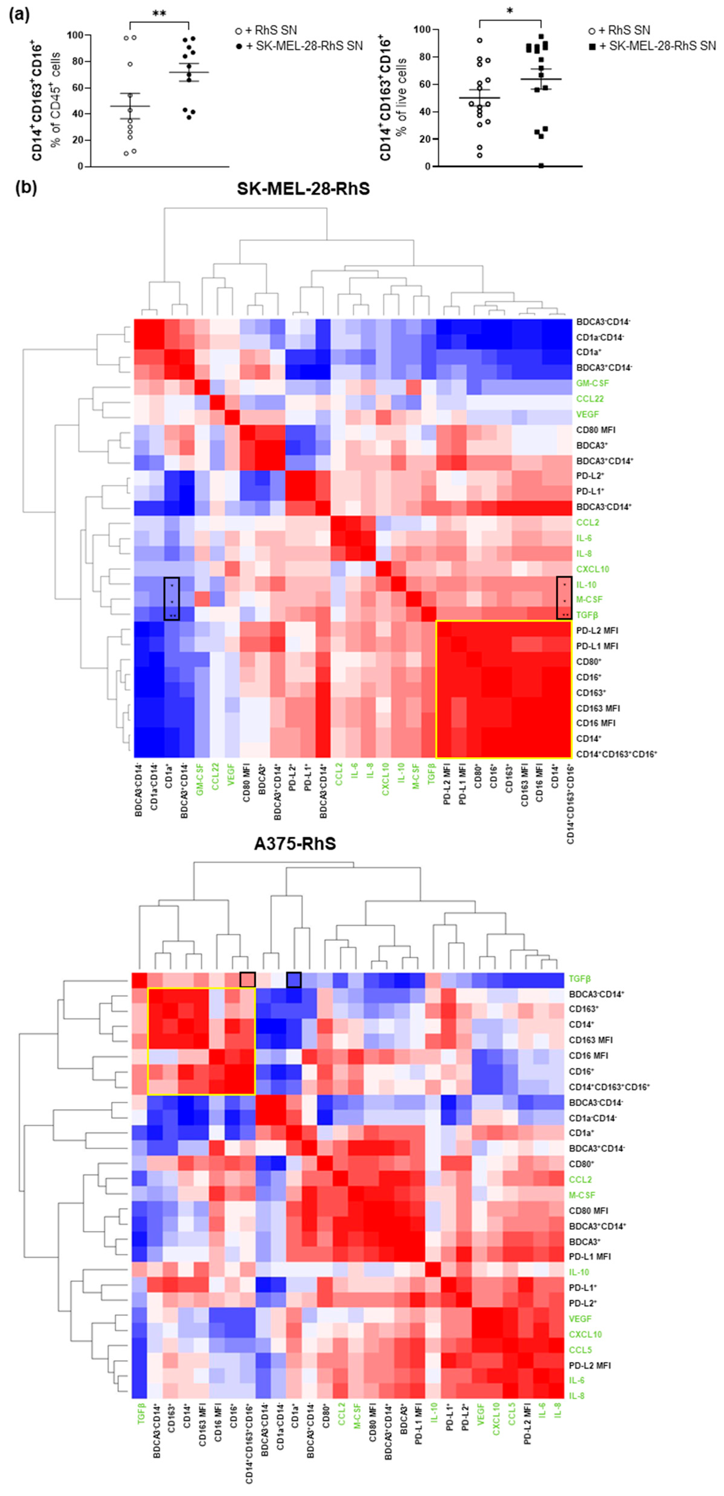 Cancers 15 02849 g003a Cancers 15 02849 g003a