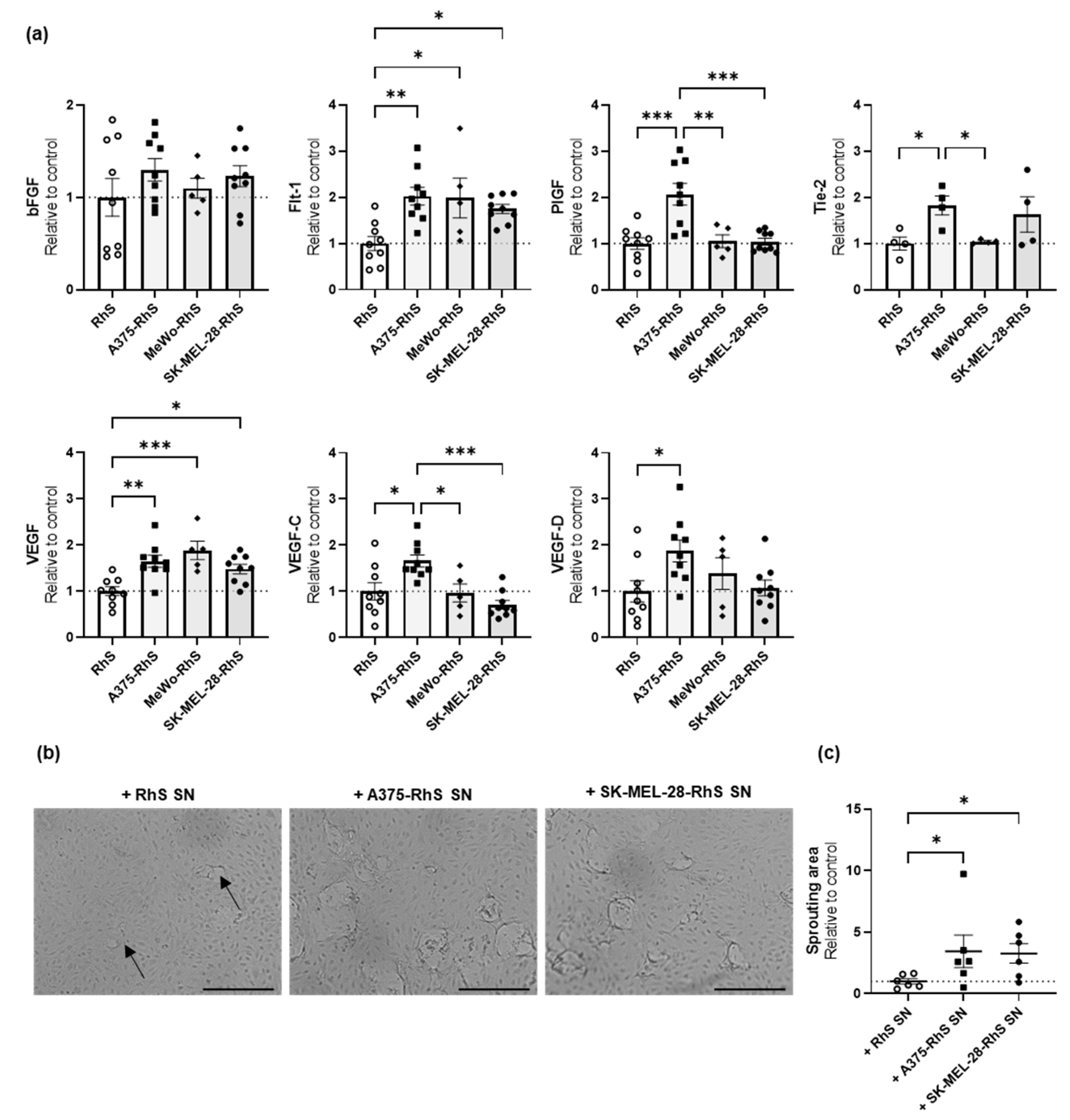 Cancers 15 02849 g005 Cancers 15 02849 g005
