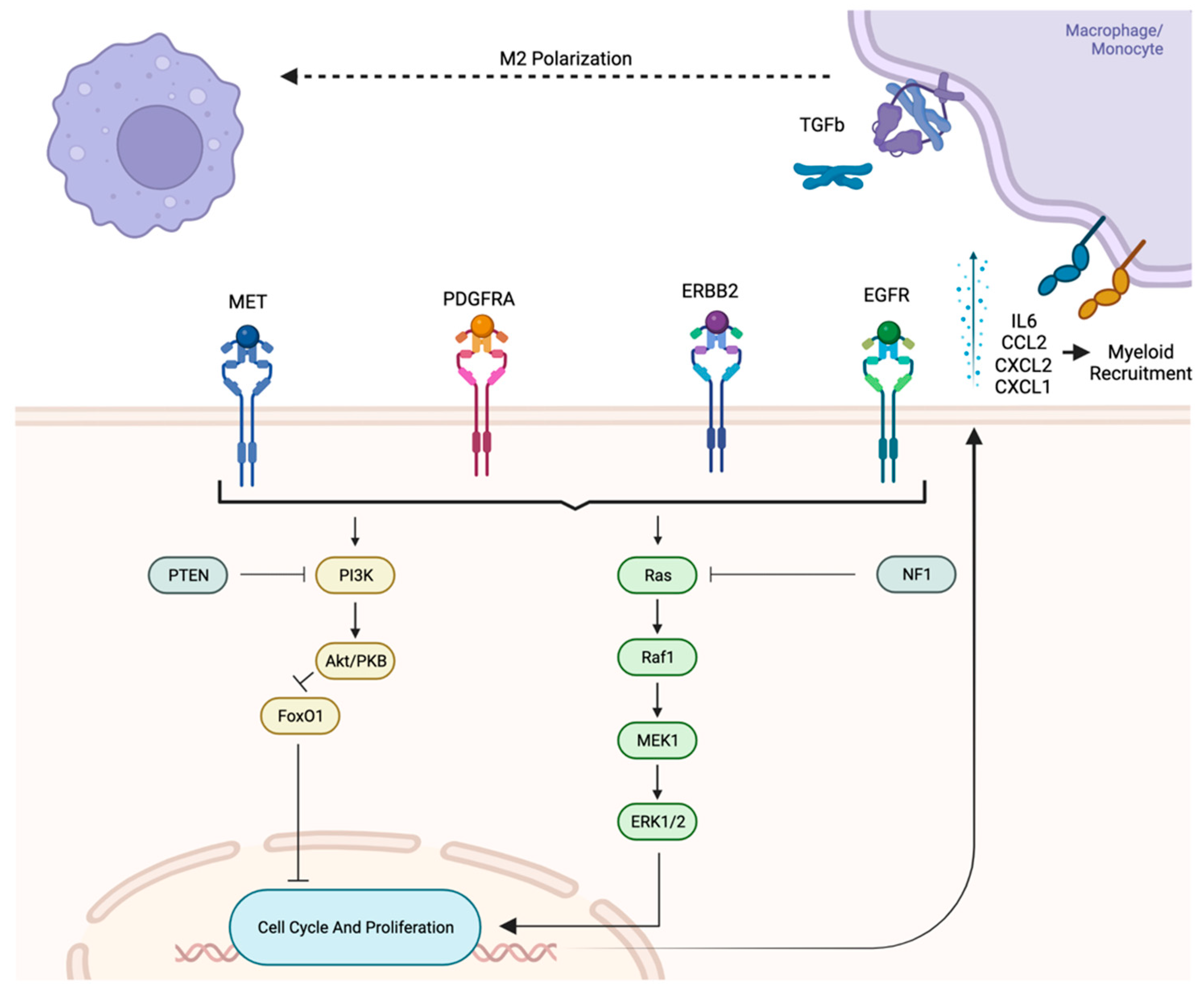 Cancers 15 02856 g002 Cancers 15 02856 g002