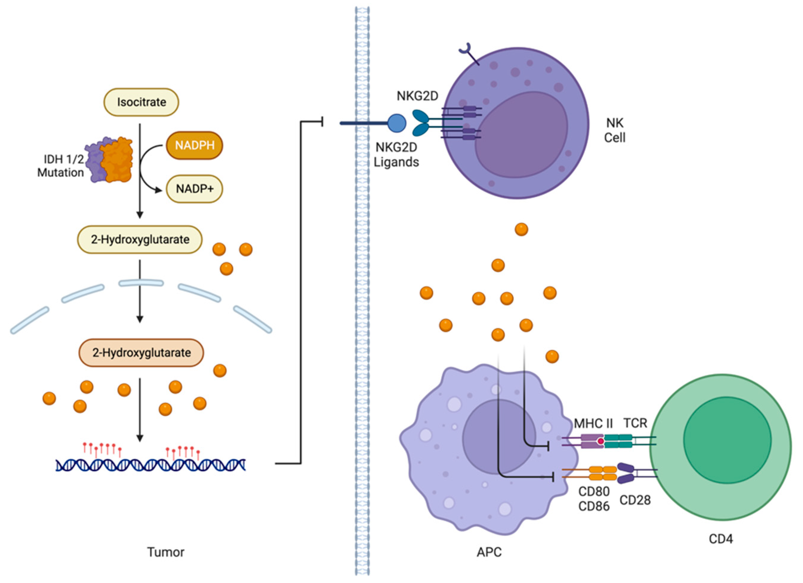 Cancers 15 02856 g003 Cancers 15 02856 g003