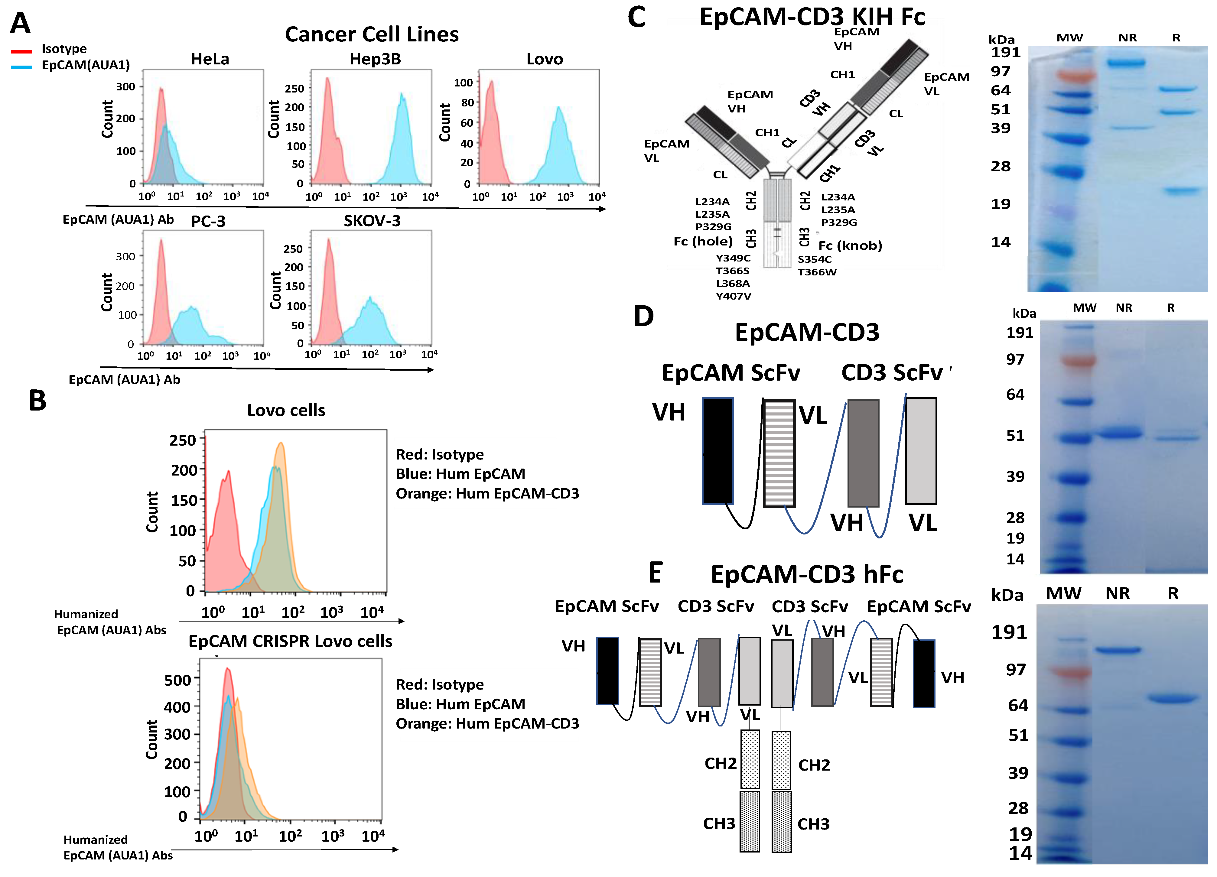Cancers 15 02860 g001