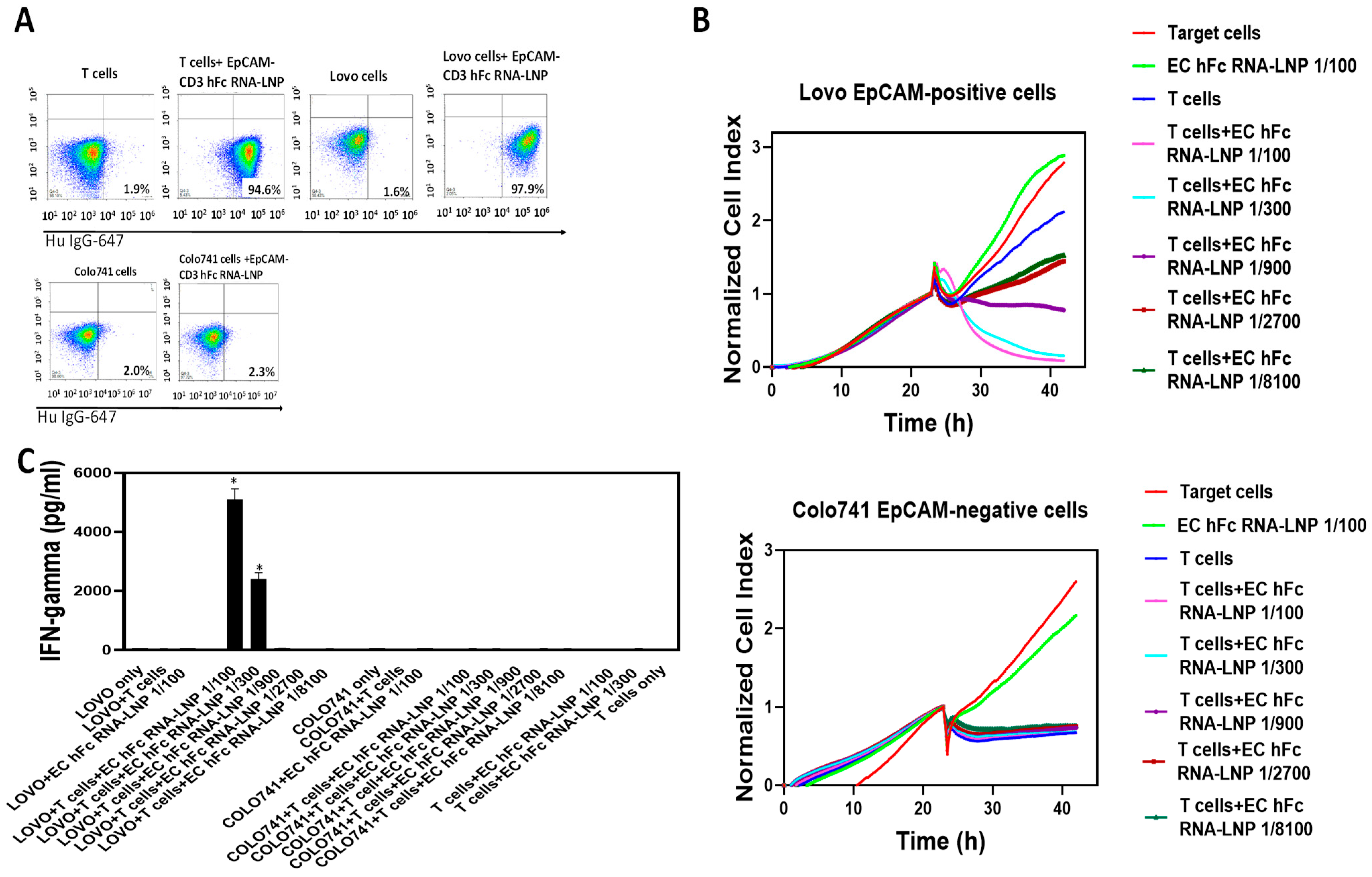 Cancers 15 02860 g004