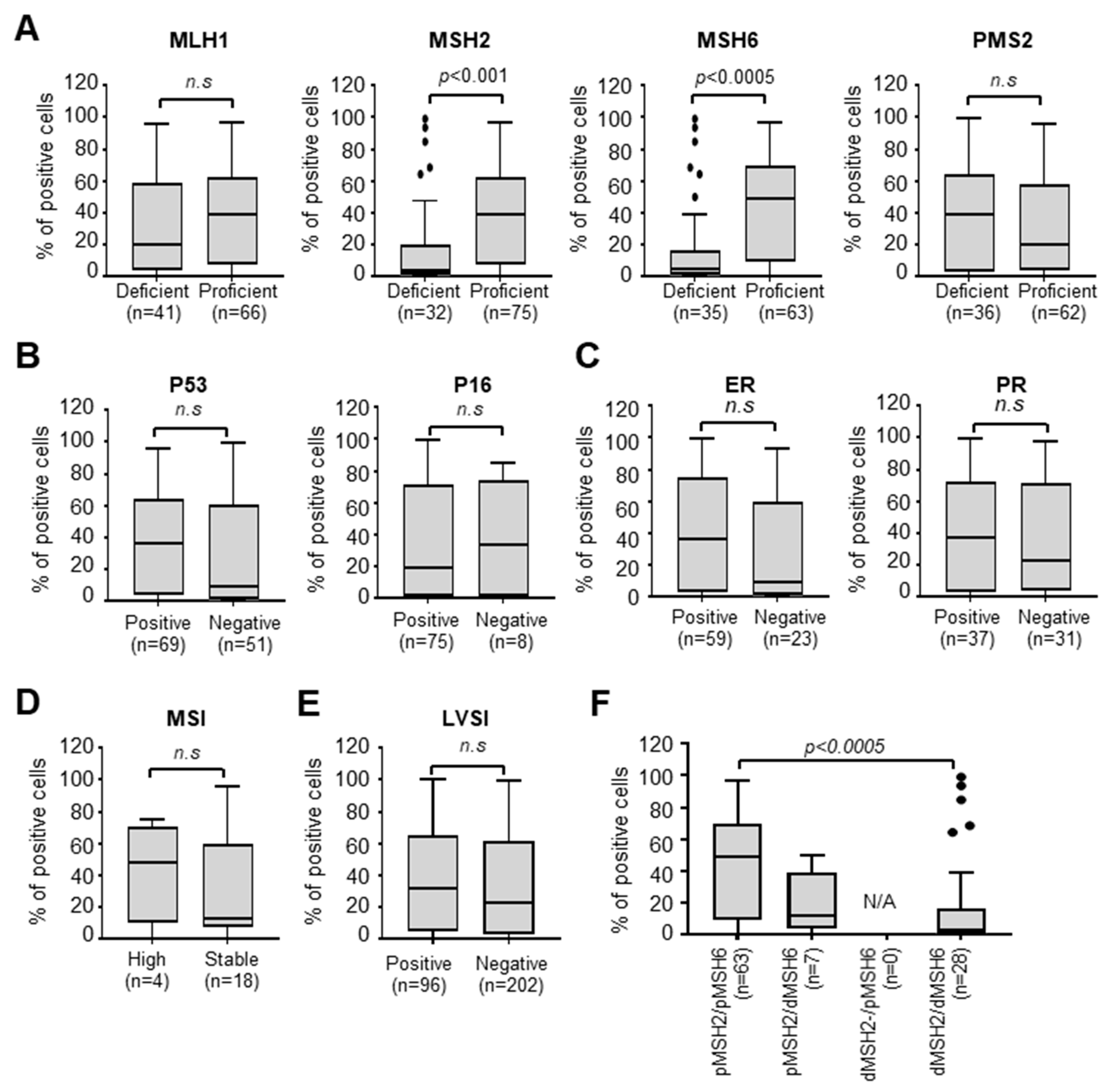 Cancers 15 02865 g003 Cancers 15 02865 g003