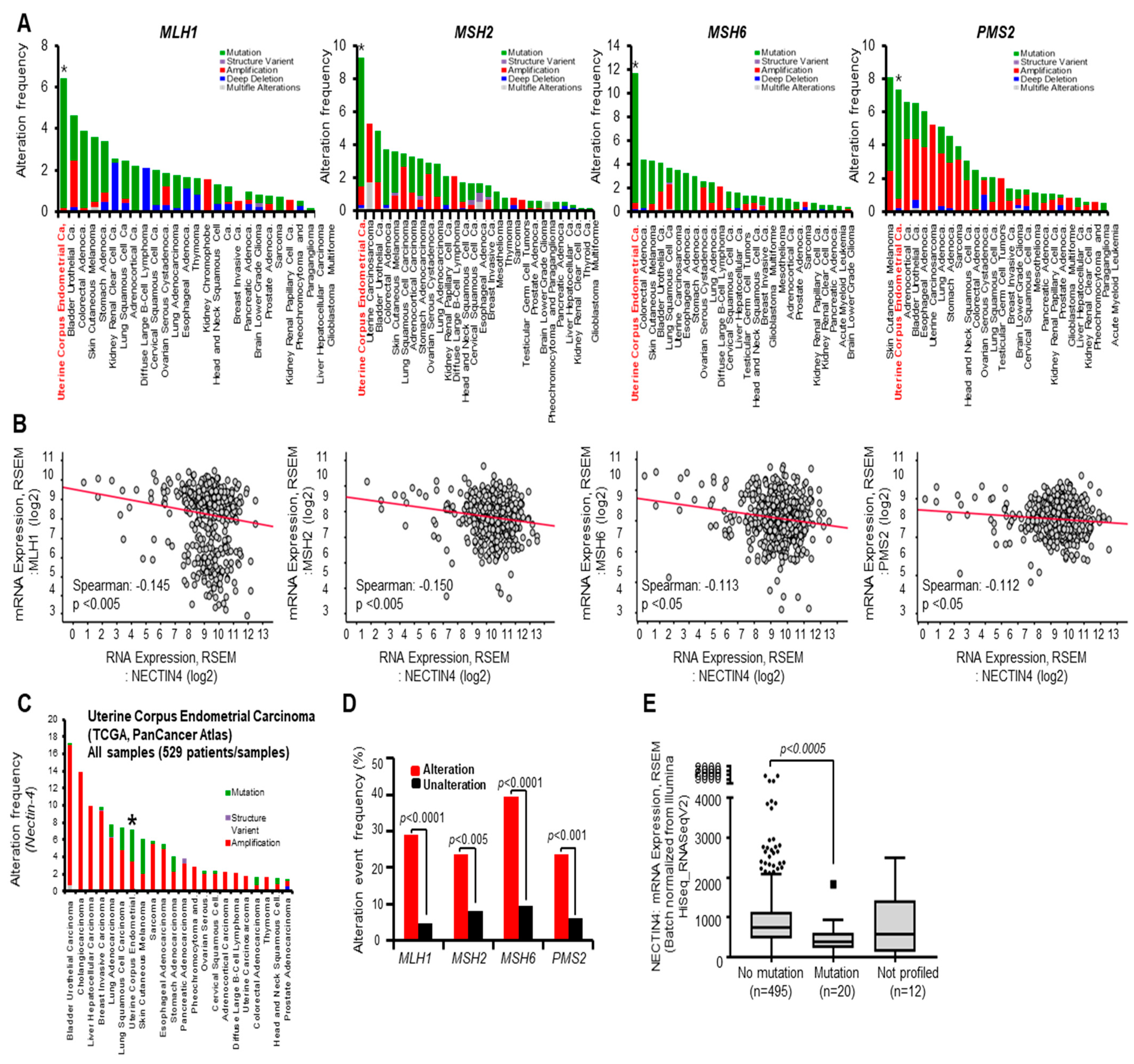 Cancers 15 02865 g004 Cancers 15 02865 g004