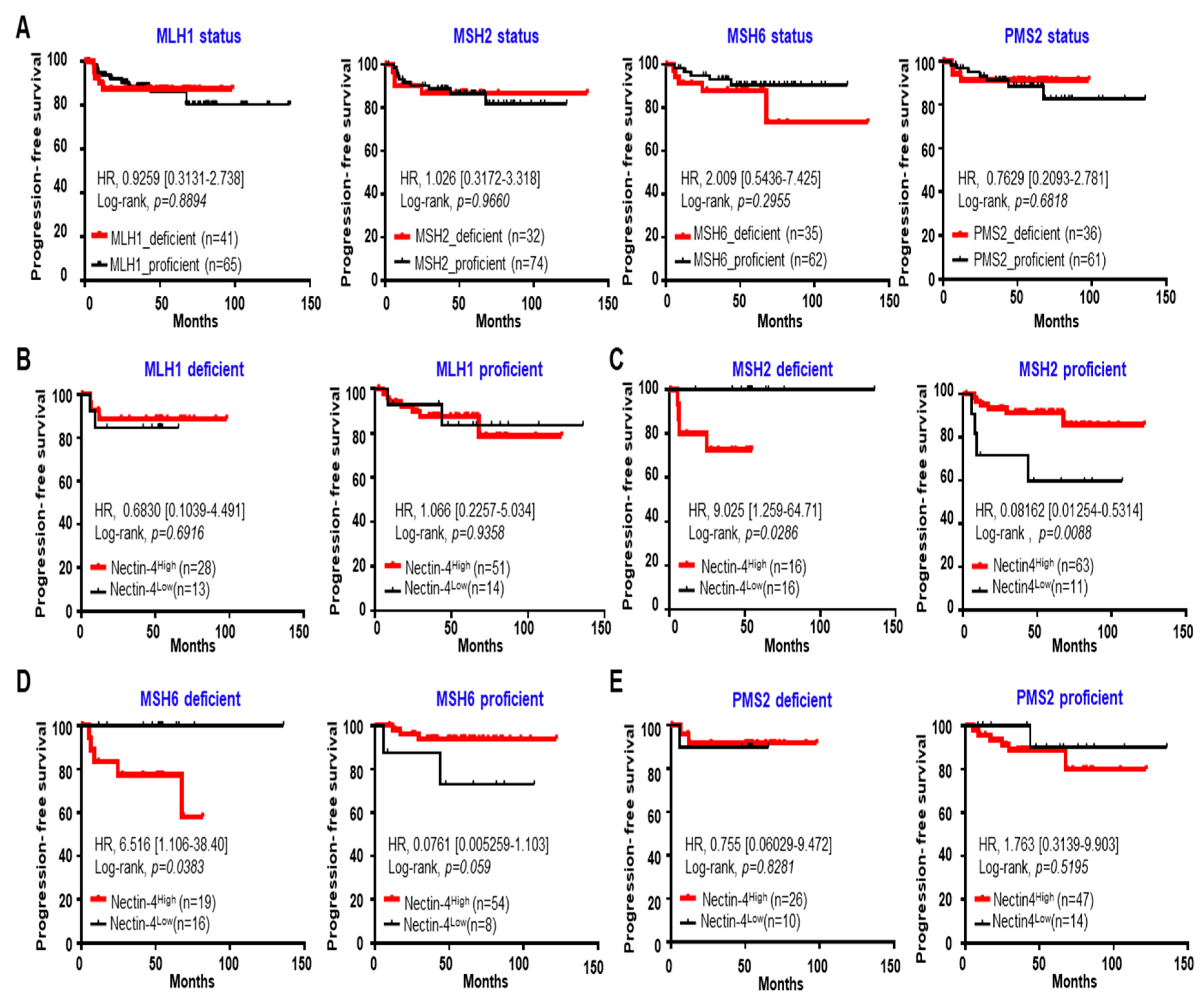 Cancers 15 02865 g005 Cancers 15 02865 g005