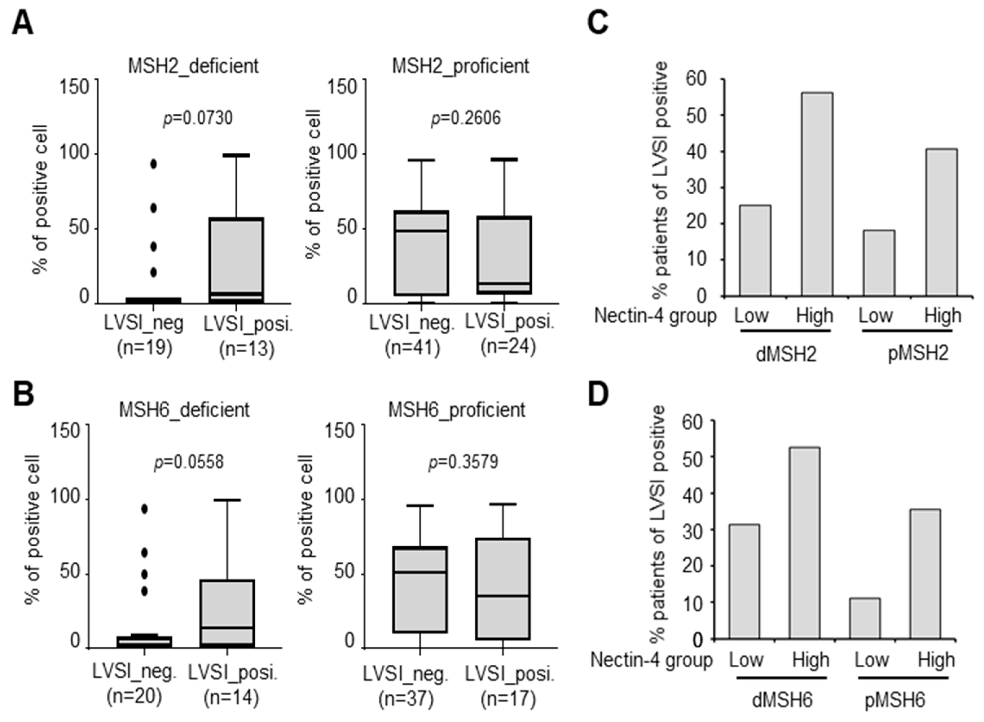Cancers 15 02865 g006 Cancers 15 02865 g006
