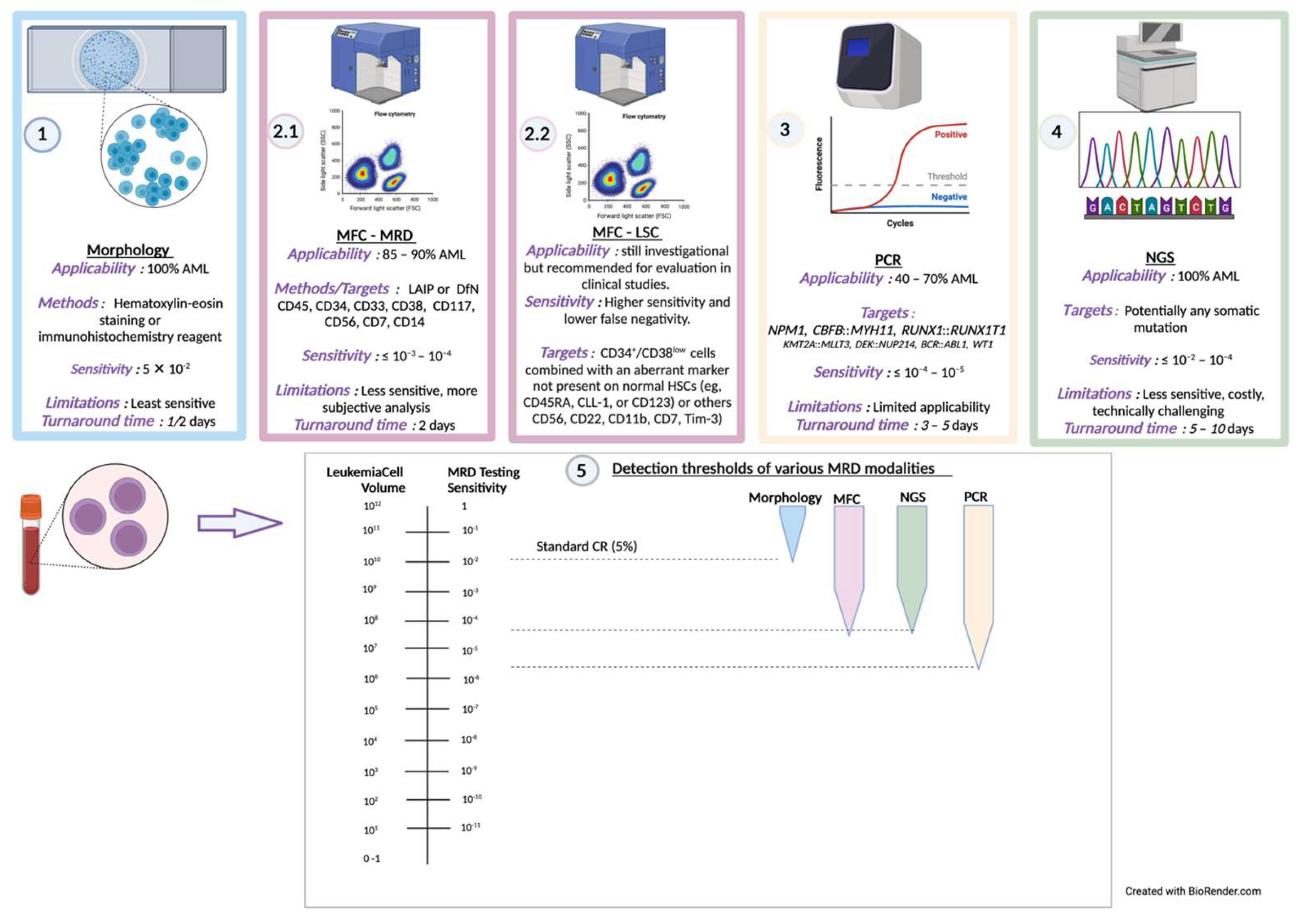 Cancers 15 02866 g001 Cancers 15 02866 g001