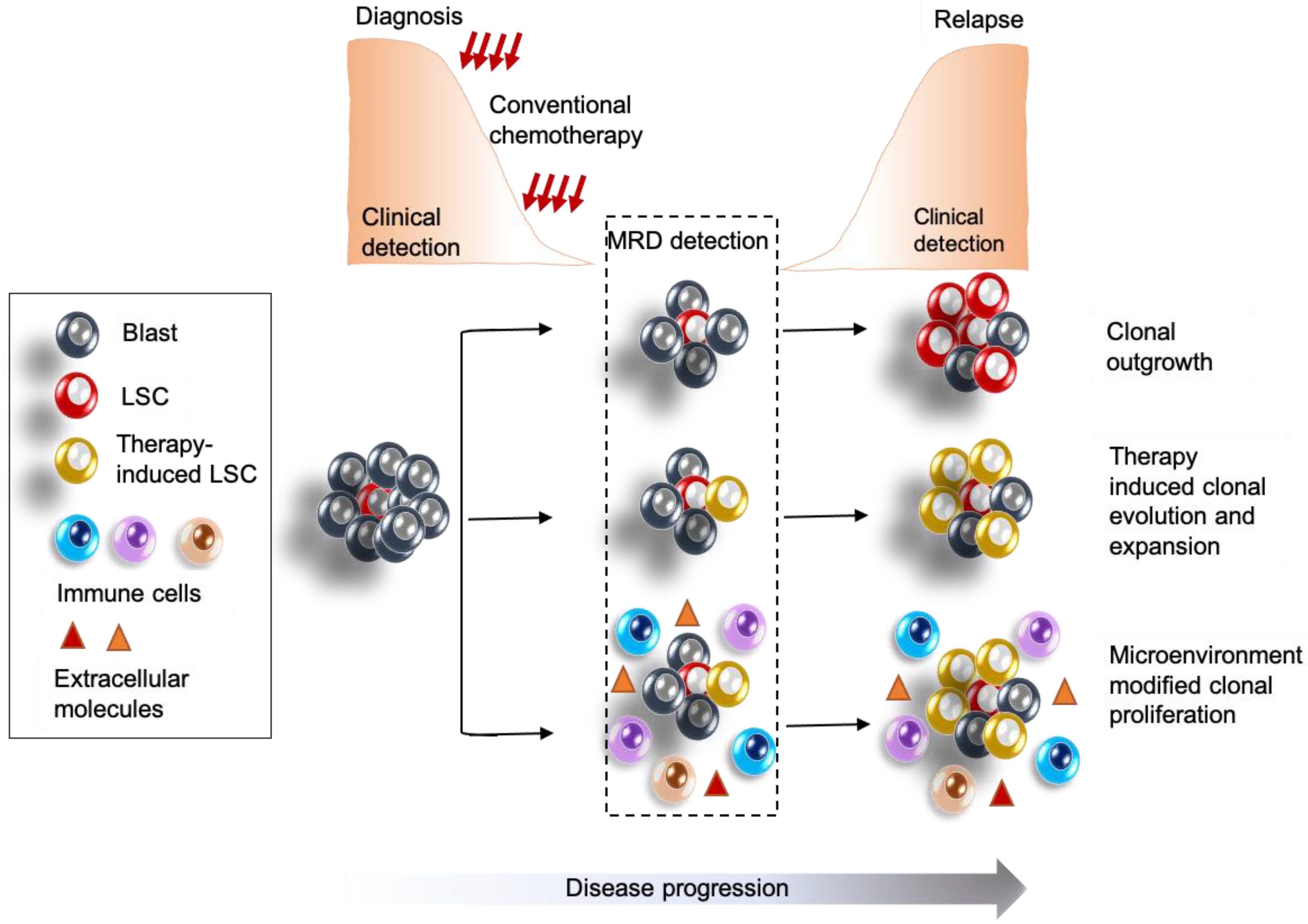 Cancers 15 02866 g002 Cancers 15 02866 g002