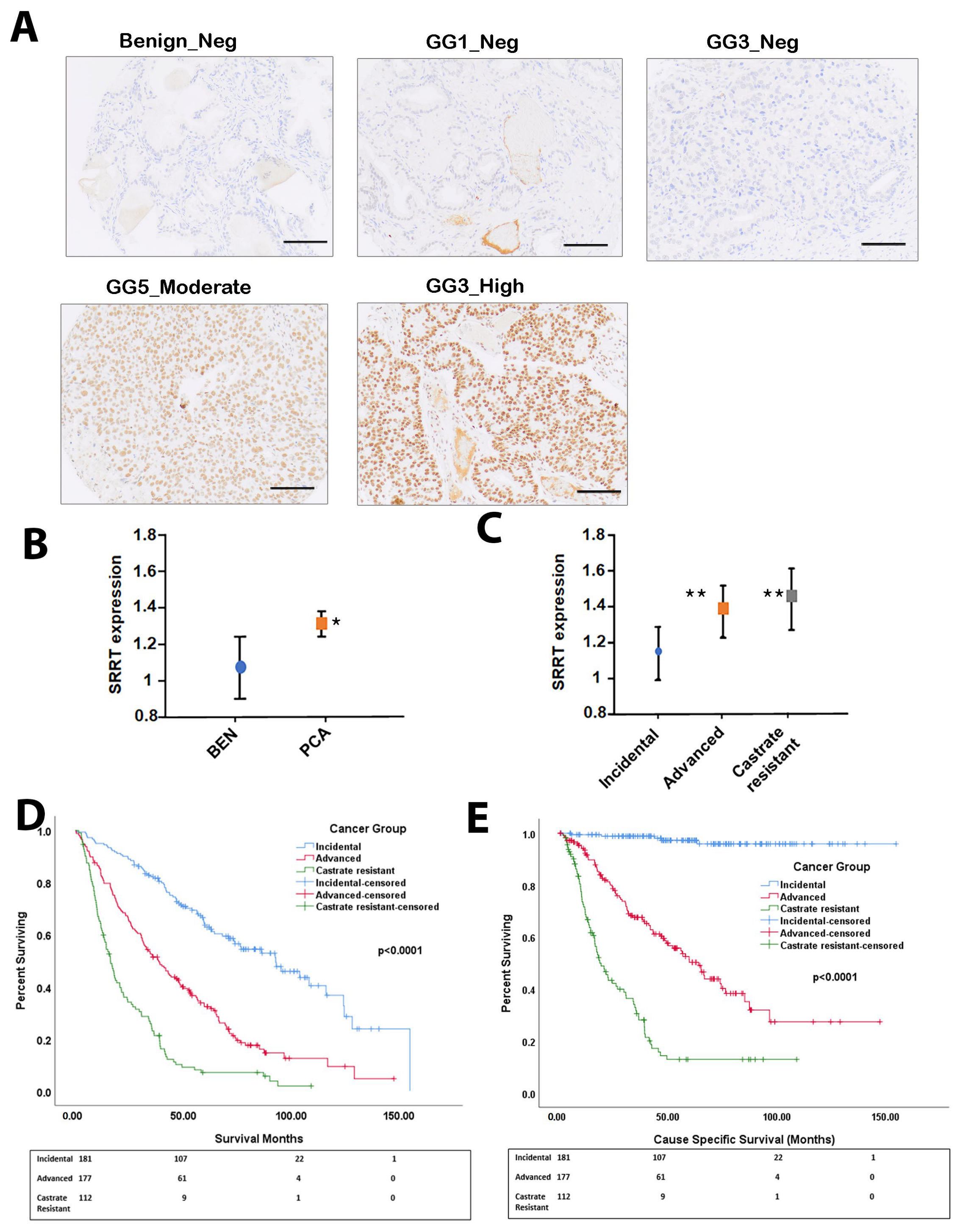 Cancers 15 02867 g001 Cancers 15 02867 g001