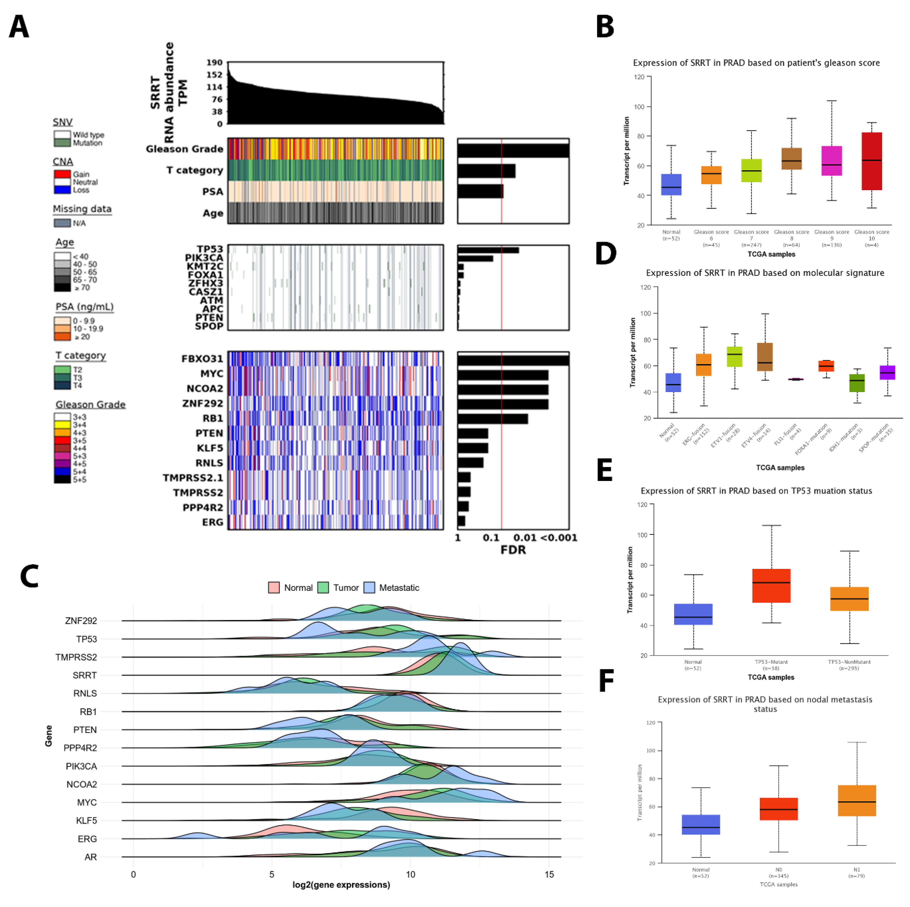 Cancers 15 02867 g003 Cancers 15 02867 g003