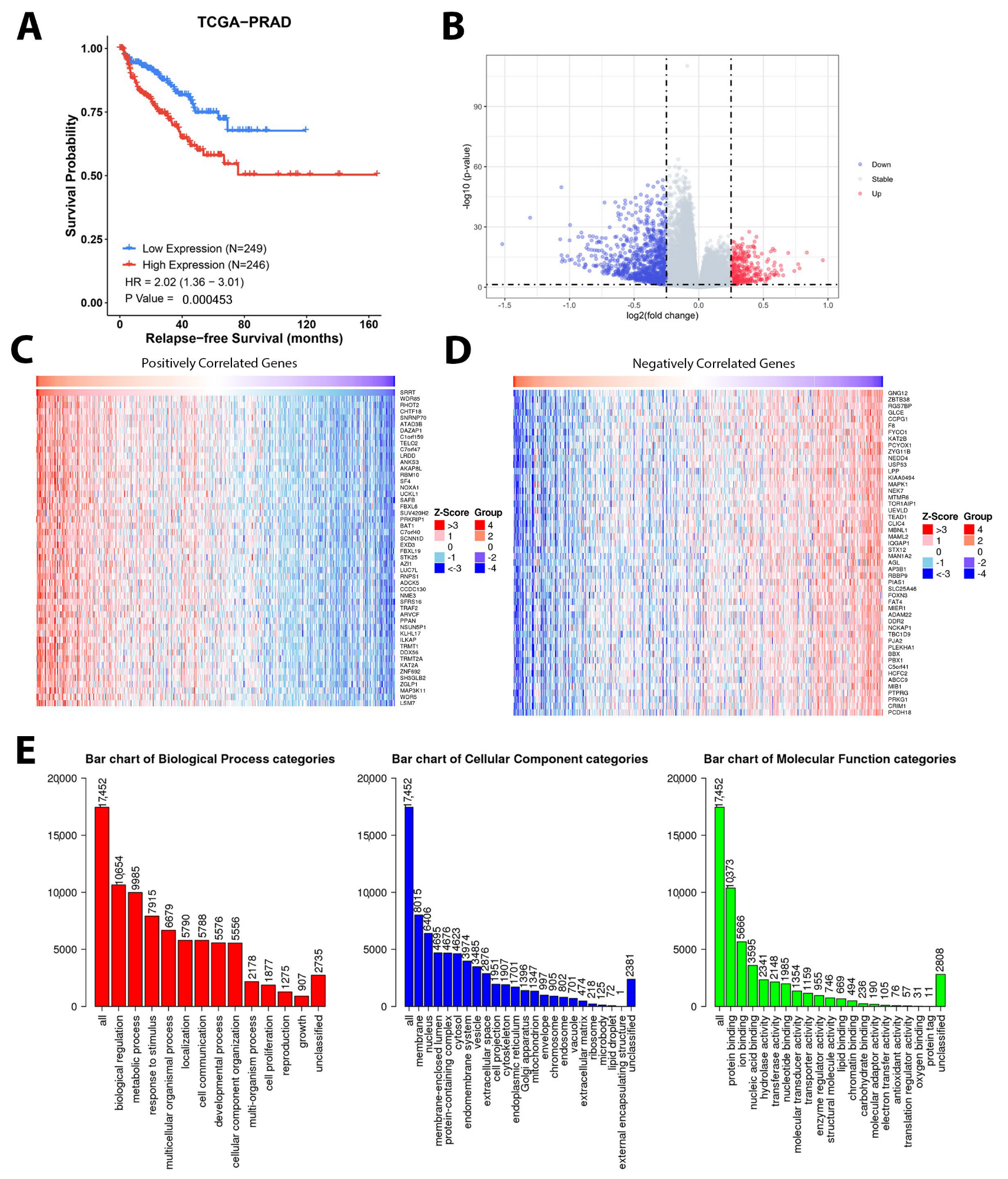 Cancers 15 02867 g004 Cancers 15 02867 g004