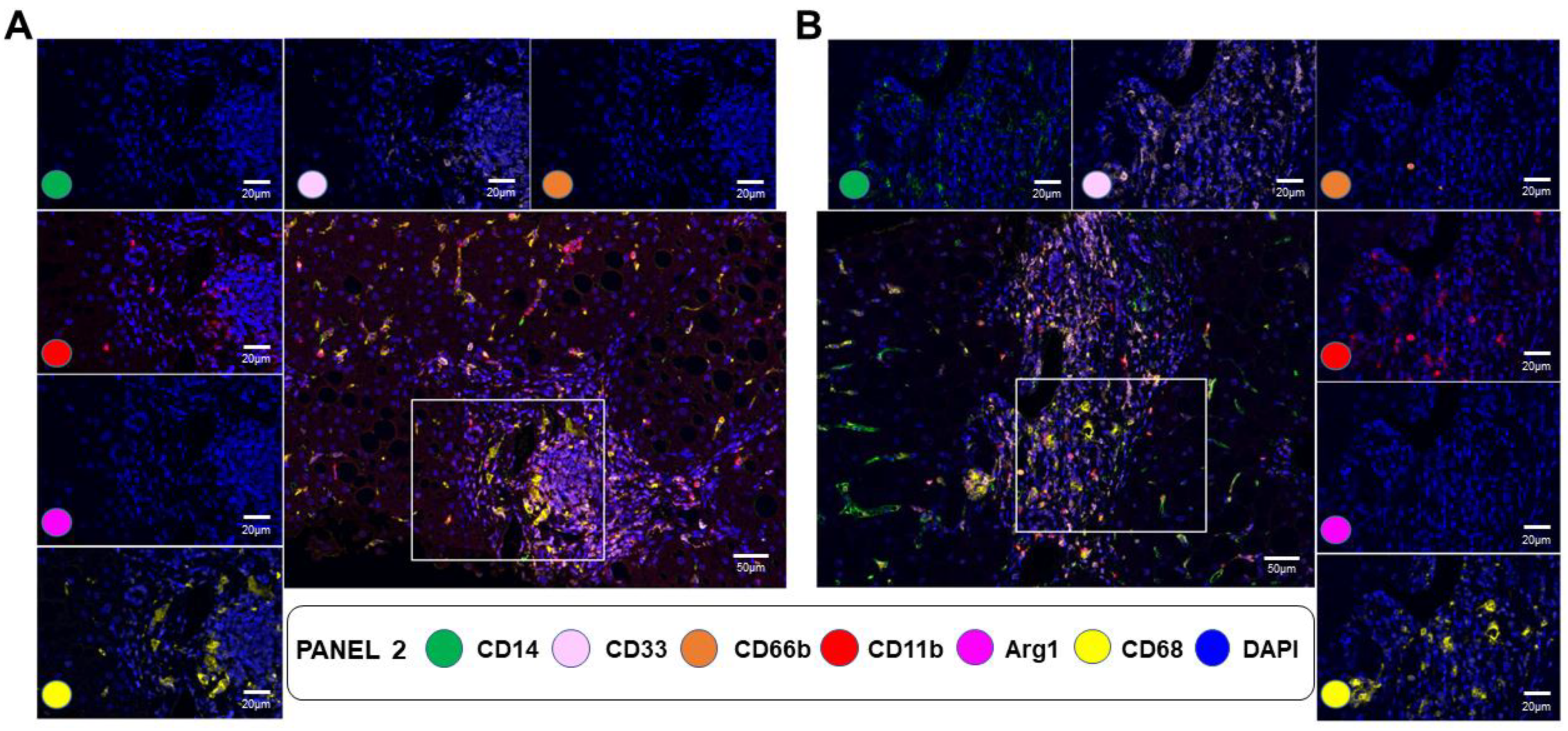 Cancers 15 02871 g006