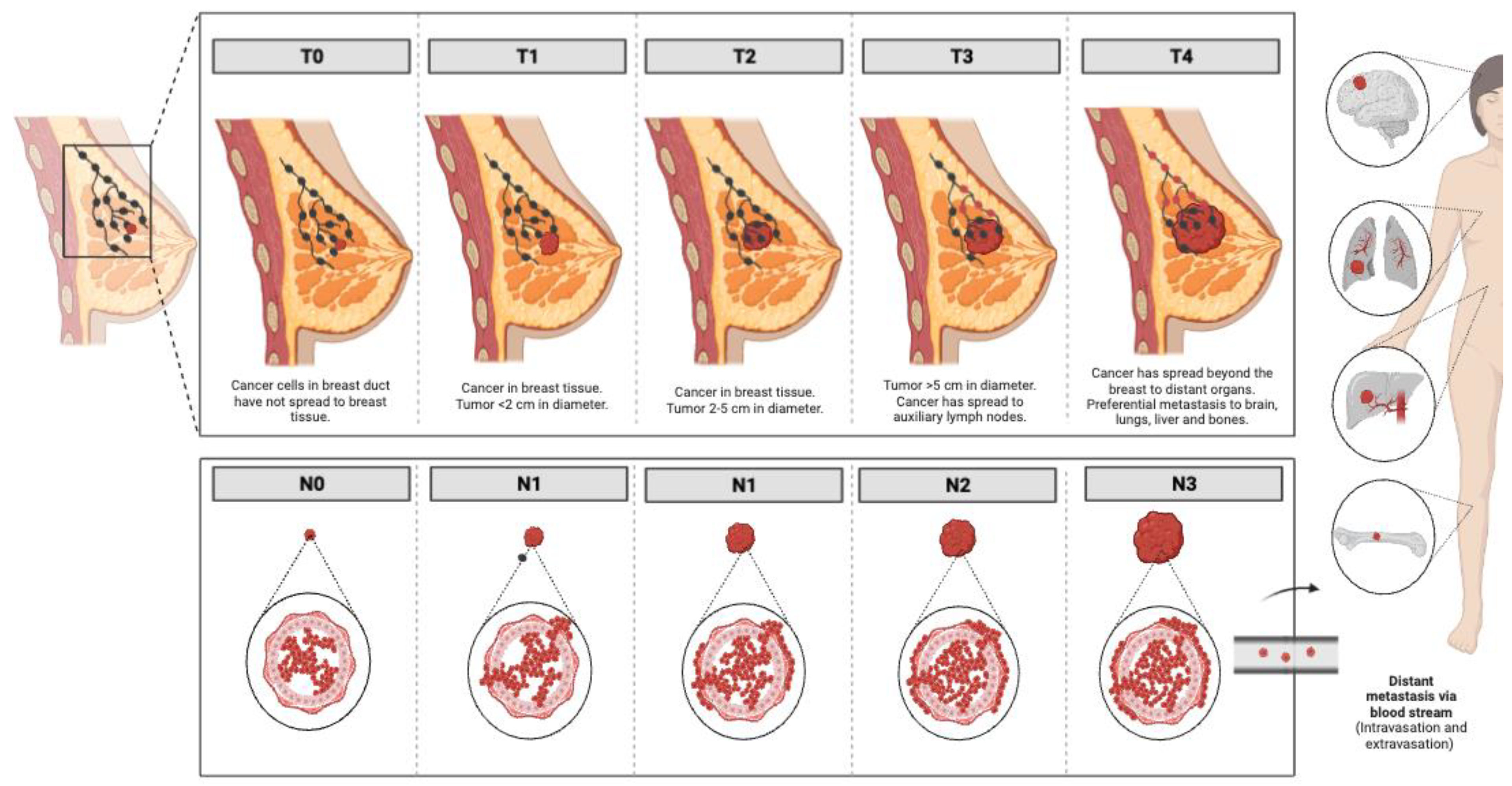 this 38-year-old woman underwent a secondary central mound breast