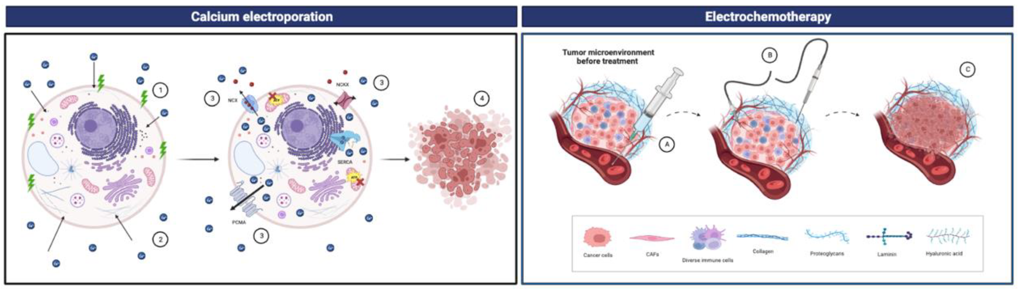 Cancers 15 02872 g003