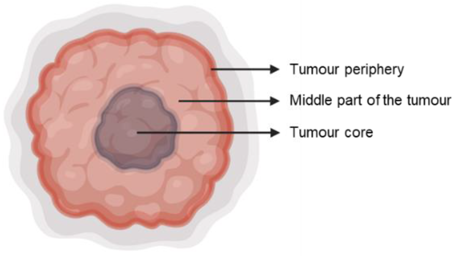 Cancers 15 02875 g001 Cancers 15 02875 g001