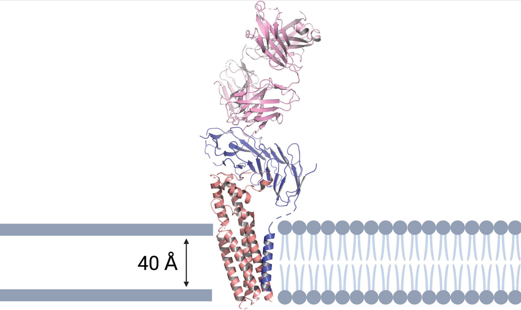 Cancers 15 02881 g003 Cancers 15 02881 g003