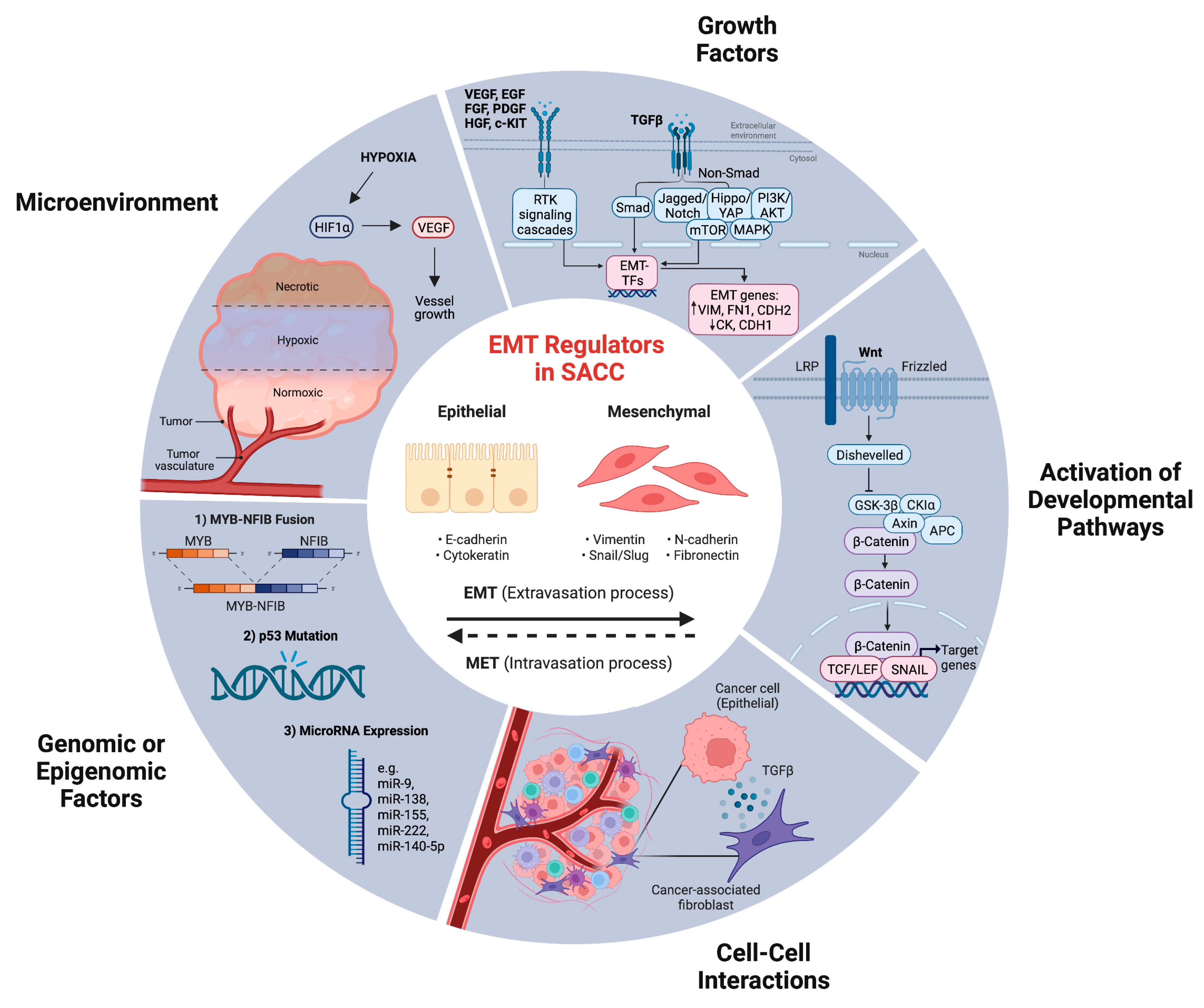 Cancers 15 02886 g002