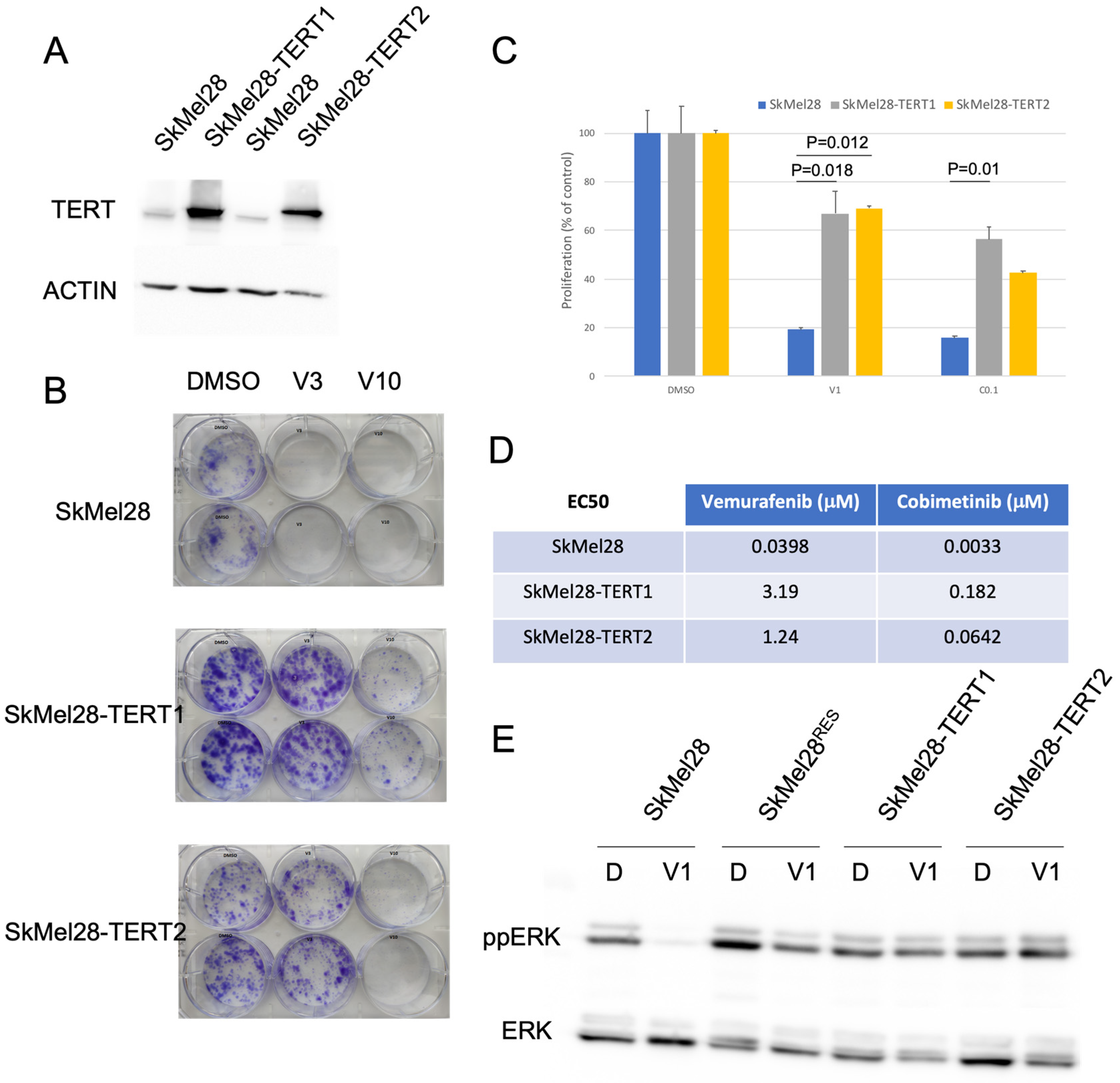 Cancers 15 02888 g003