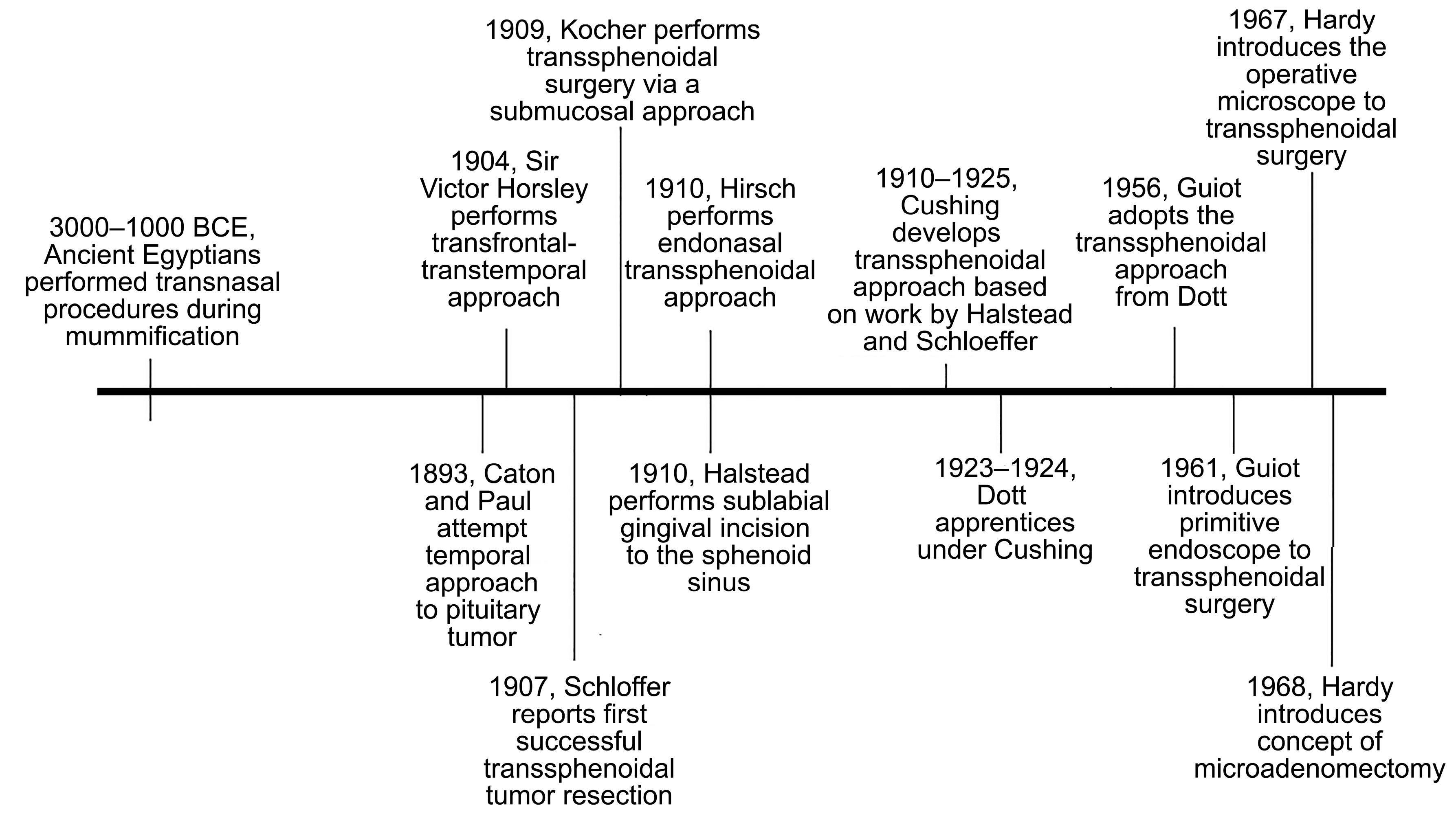 Cancers 15 02896 g002 Cancers 15 02896 g002