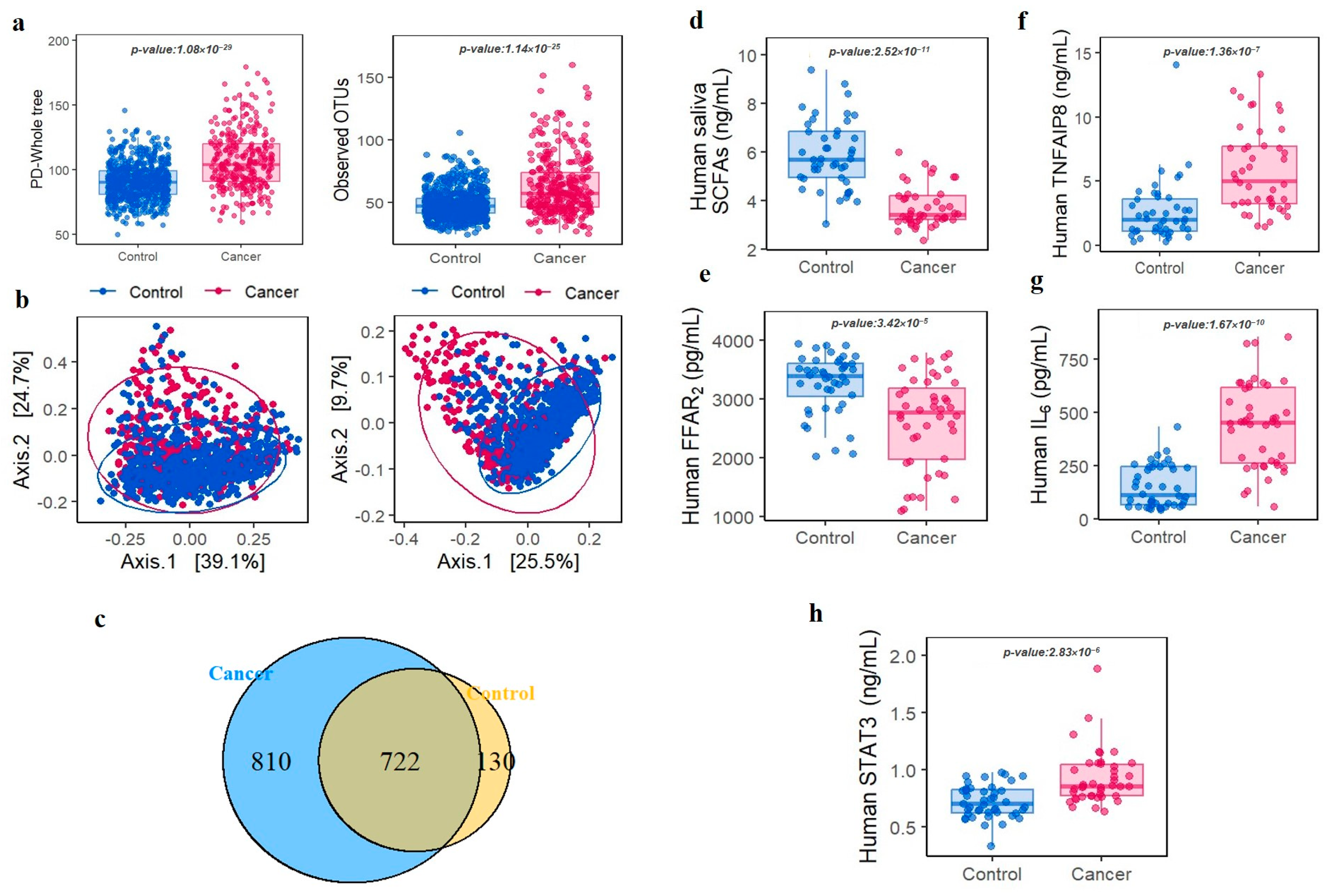 Cancers 15 02898 g003 Cancers 15 02898 g003